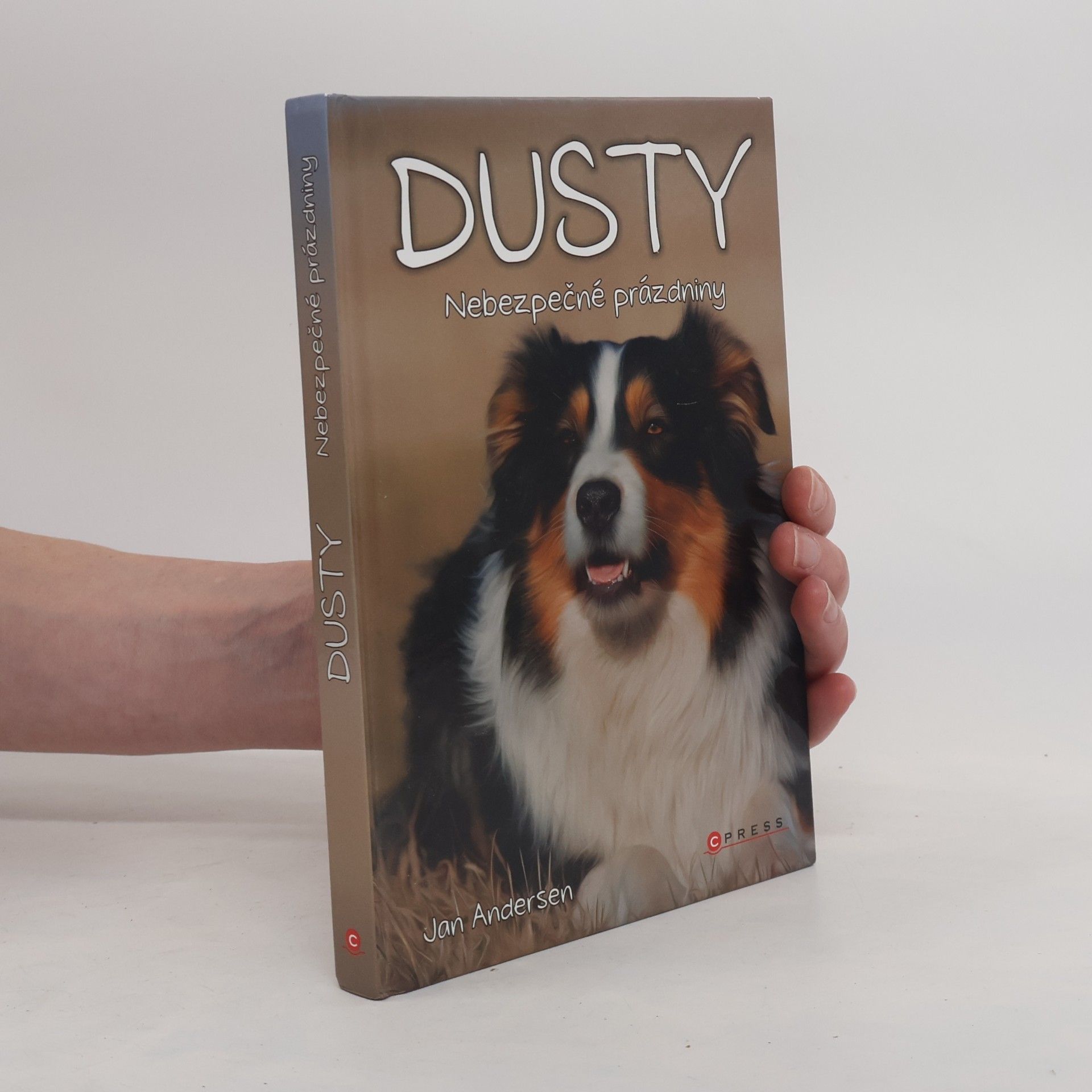Wolfram Hänel Dusty: Nebezpečné prázdniny
