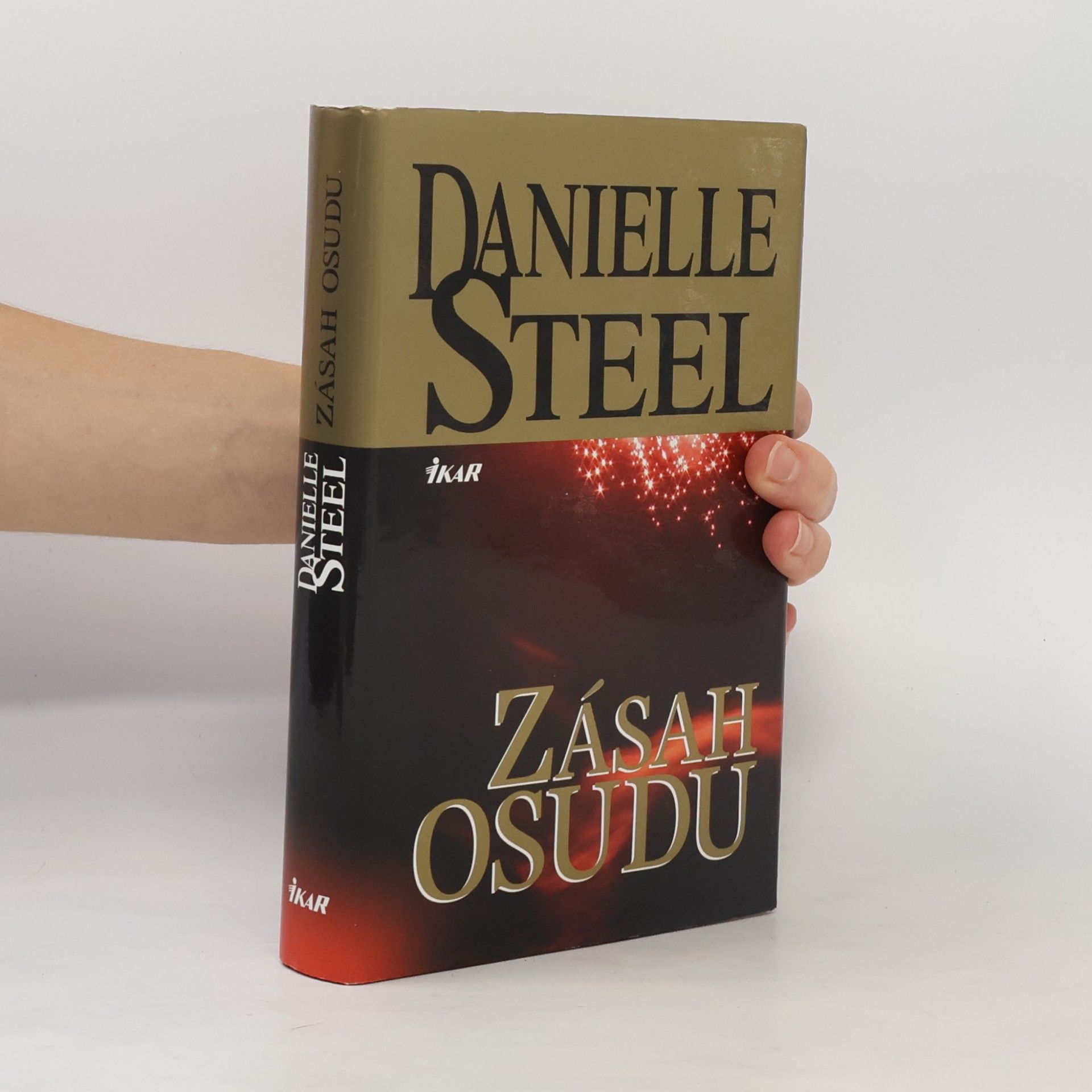 Danielle Steelová Zásah osudu