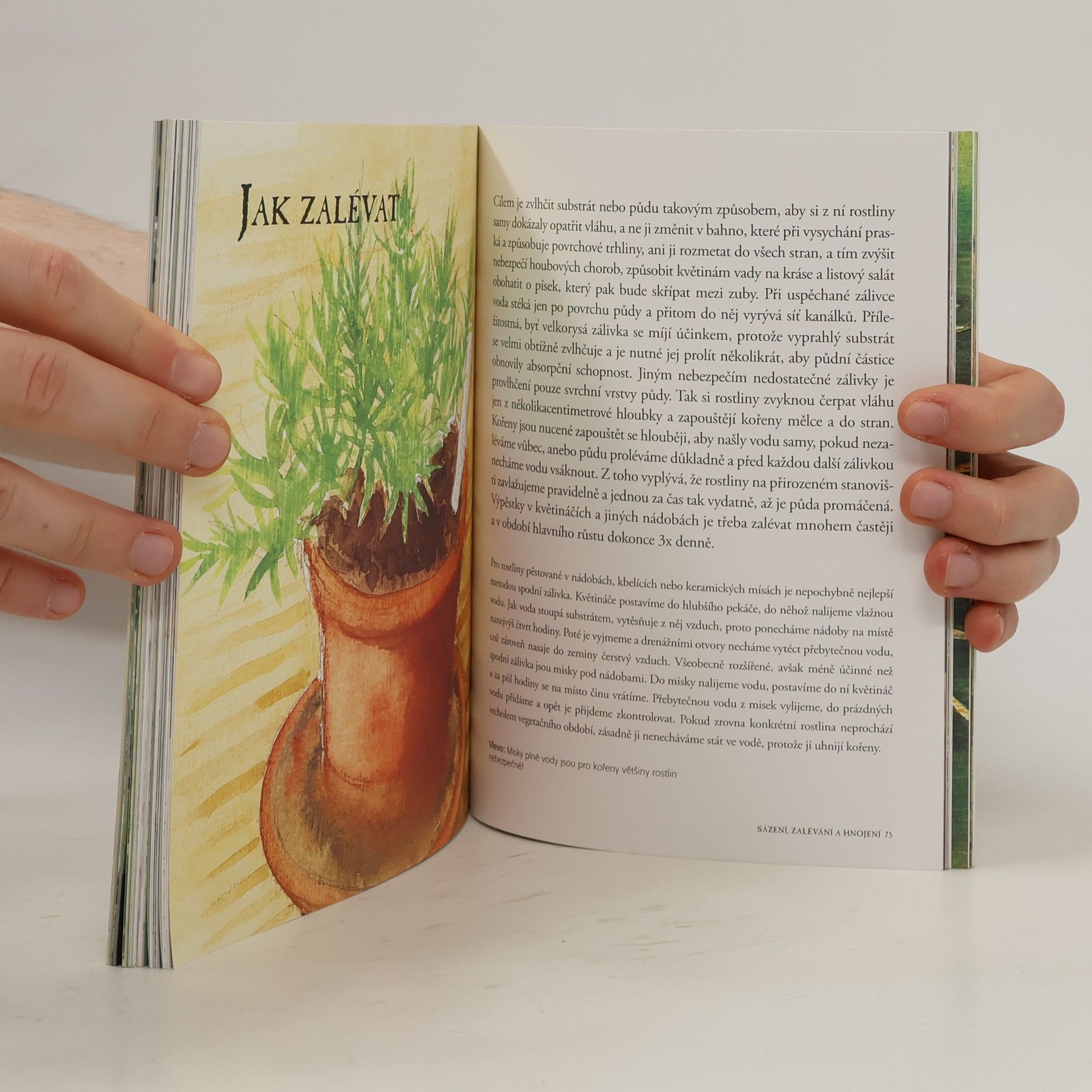 Bob Flowerdew Sázení, zalévání, hnojení