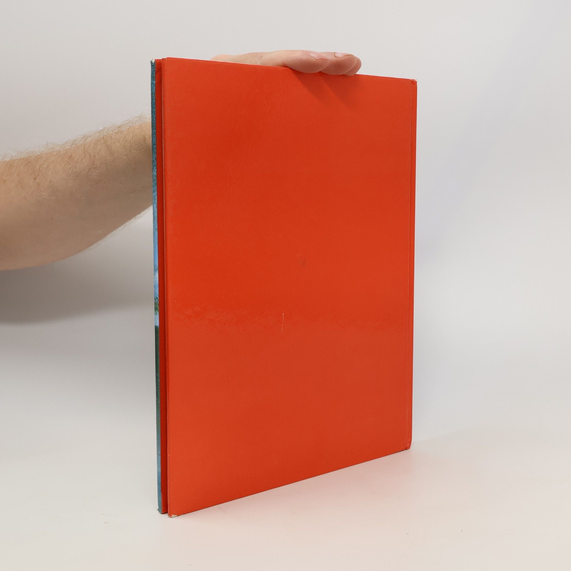 Various authors Weltberühmte Märchen lesen und hören. Das Mädchen mit den Schwefelhölzern