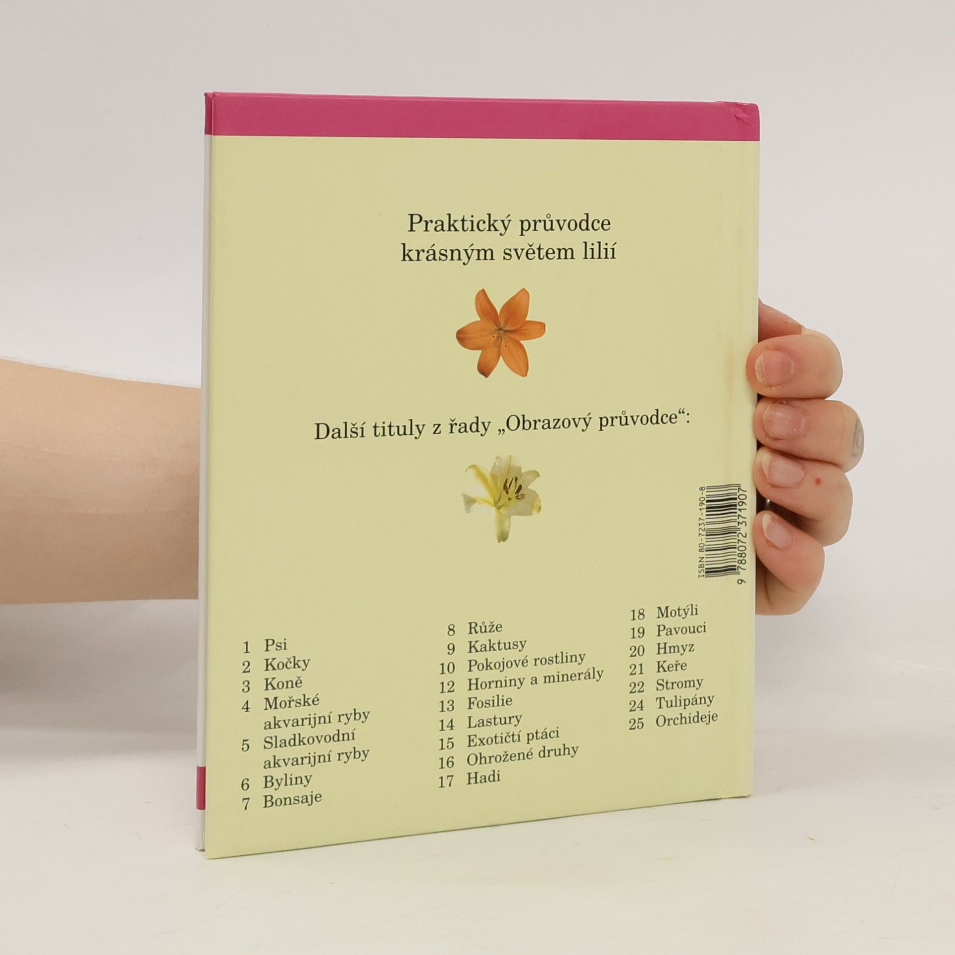 Autores varios Lilie