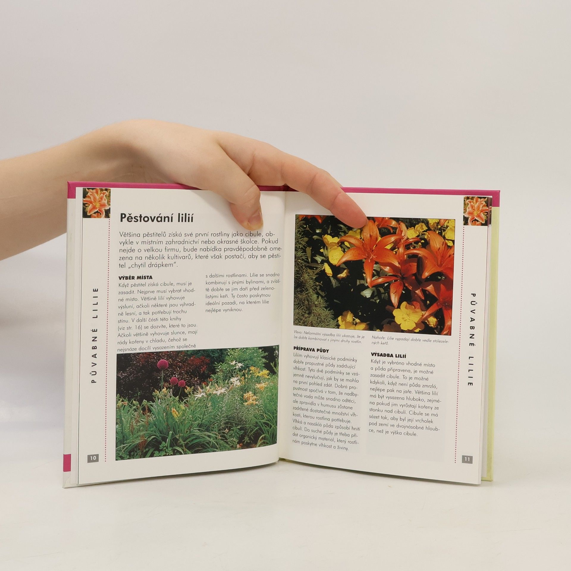 Autores varios Lilie