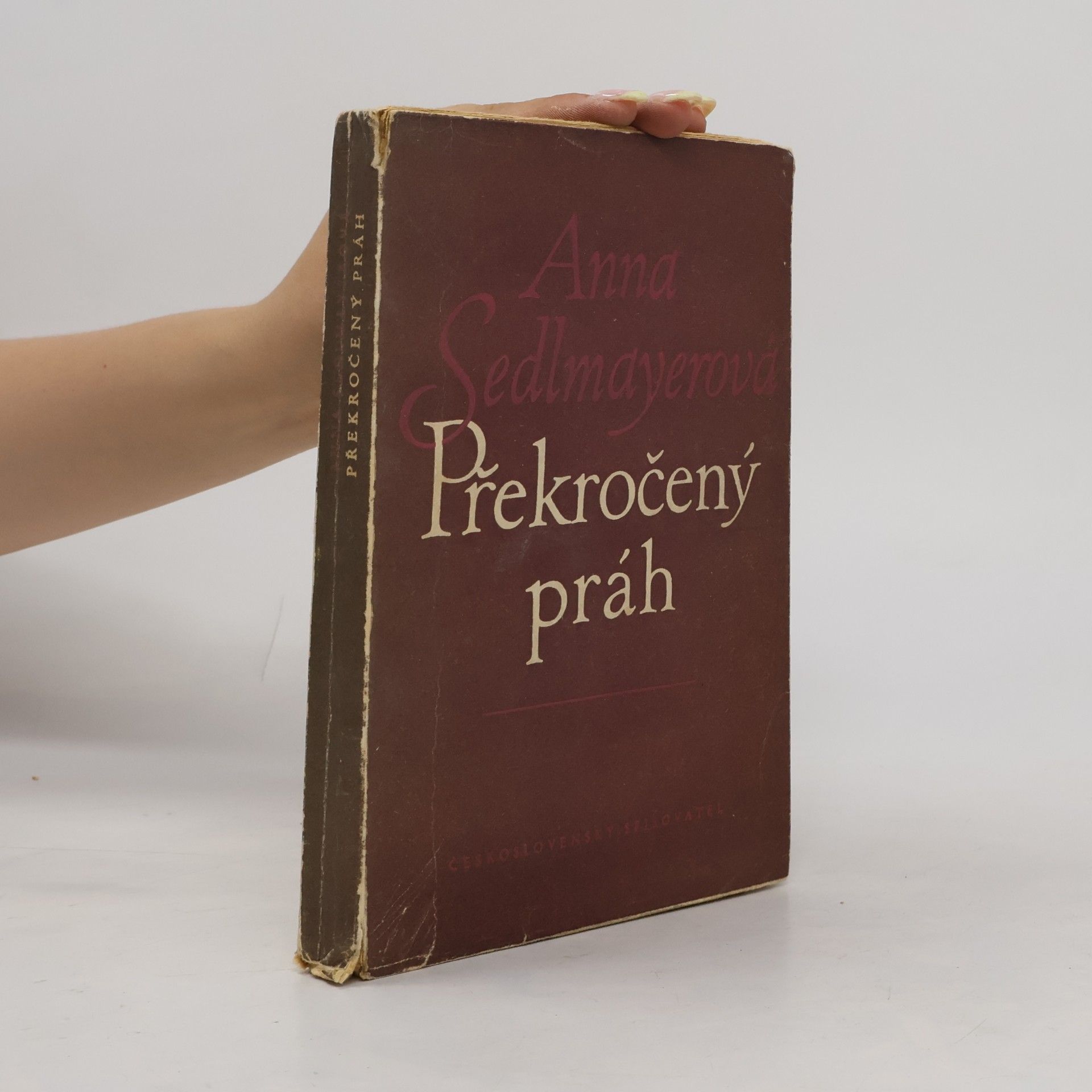 Anna Sedlmayerová Překročený práh