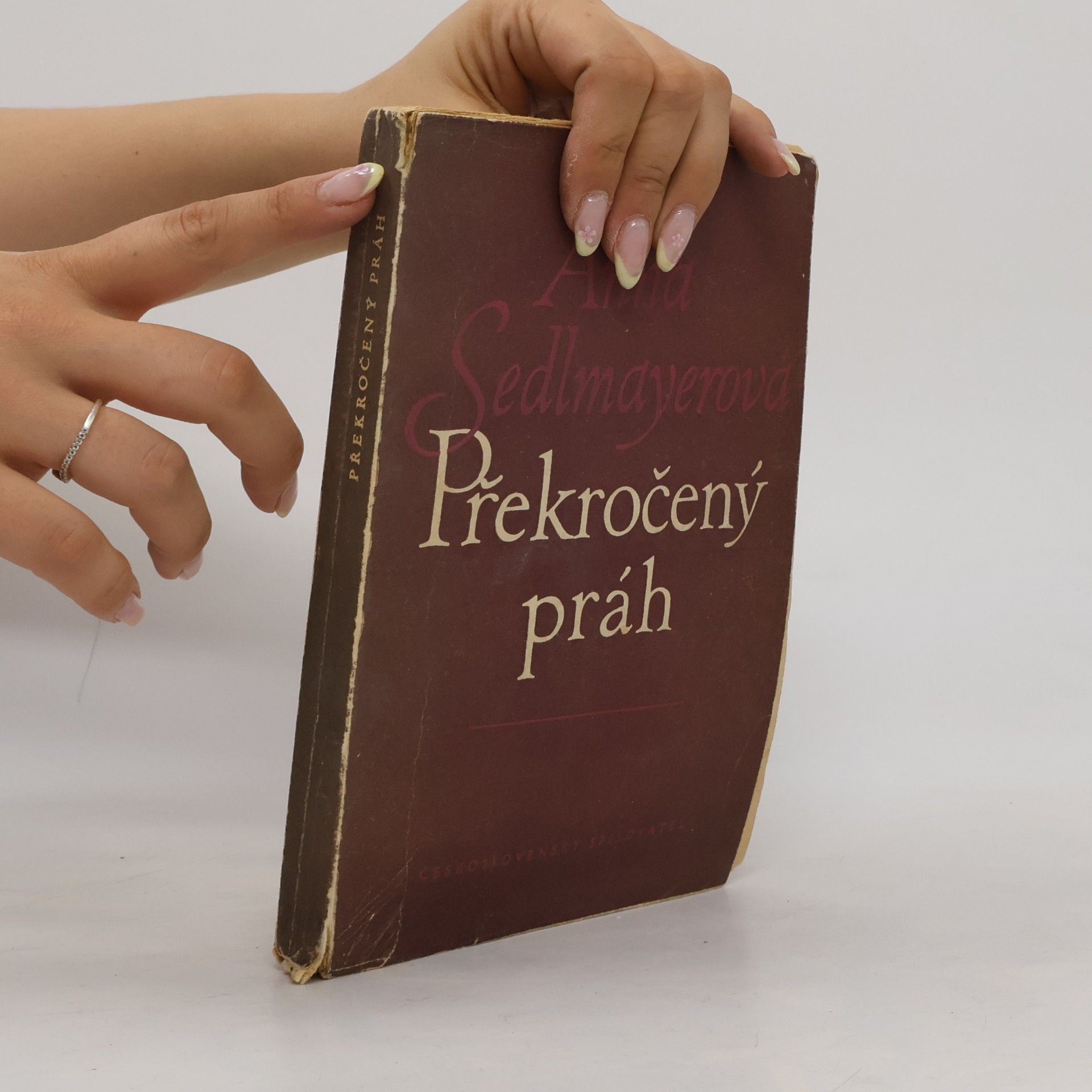 Anna Sedlmayerová Překročený práh