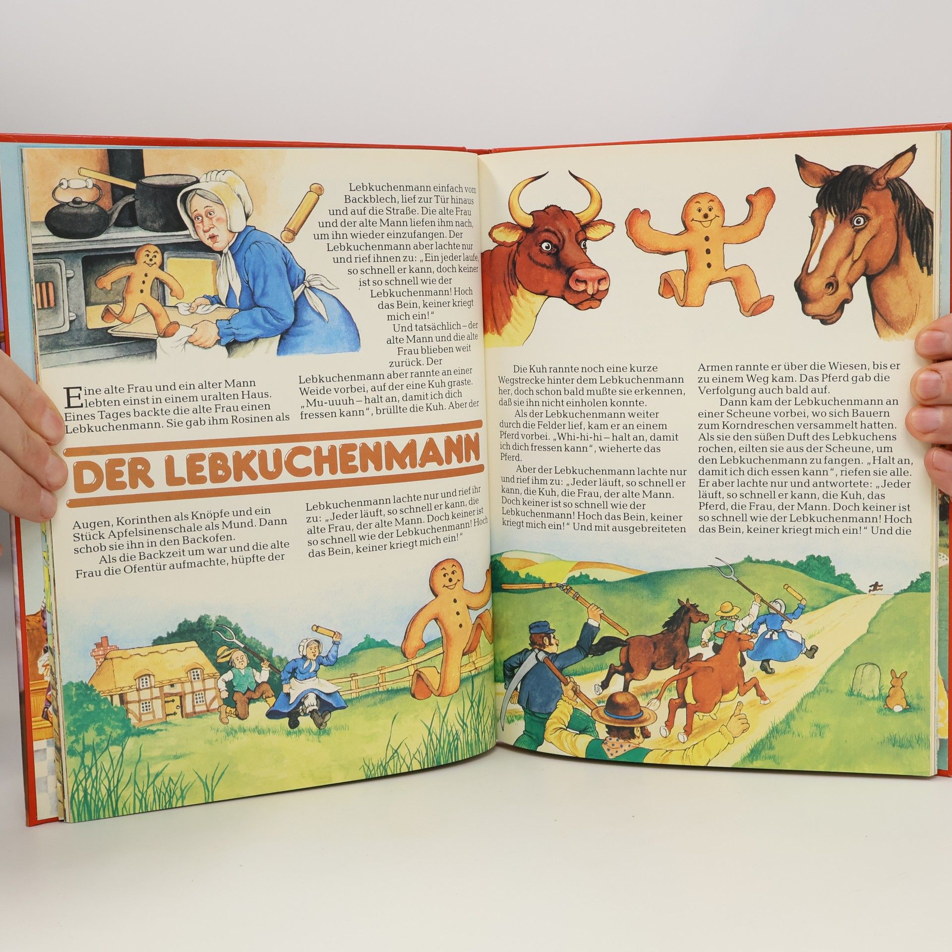 Autorenkollektiv Rotkäppchen und andere Märchen und Geschichten