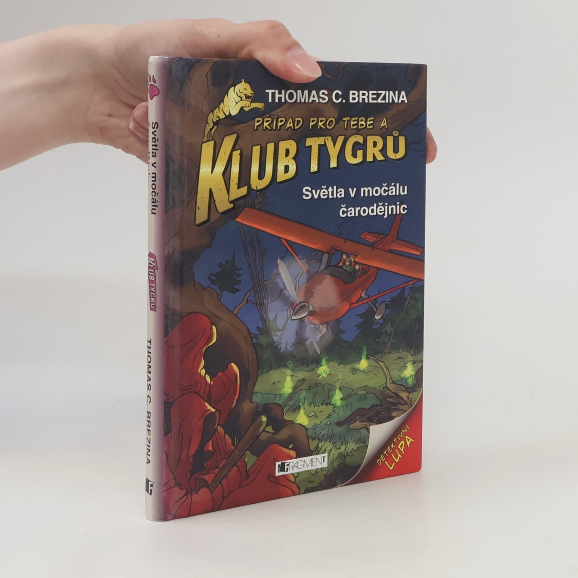 Světla v močálu čarodějnic