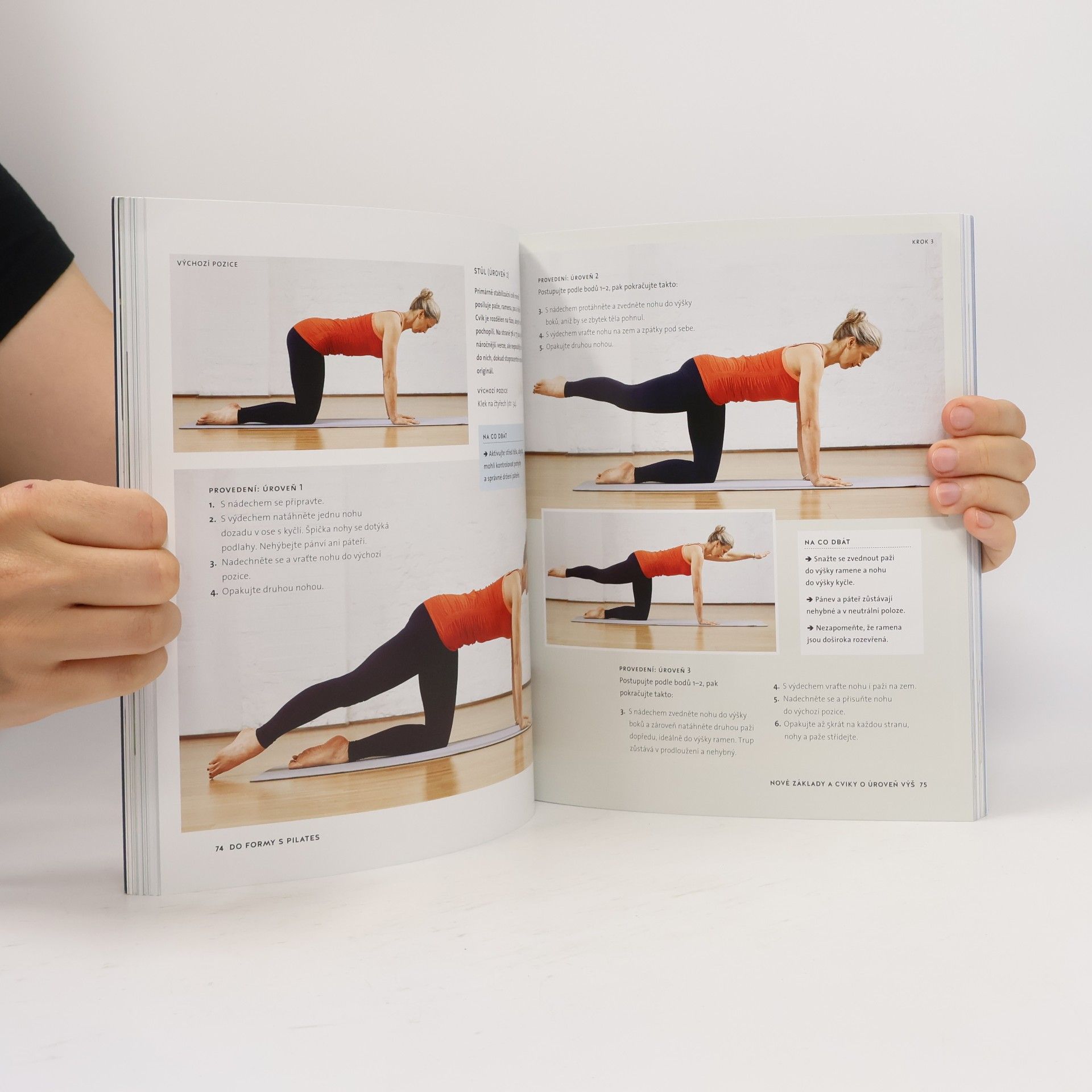 Lynne Robinson Do formy s pilates