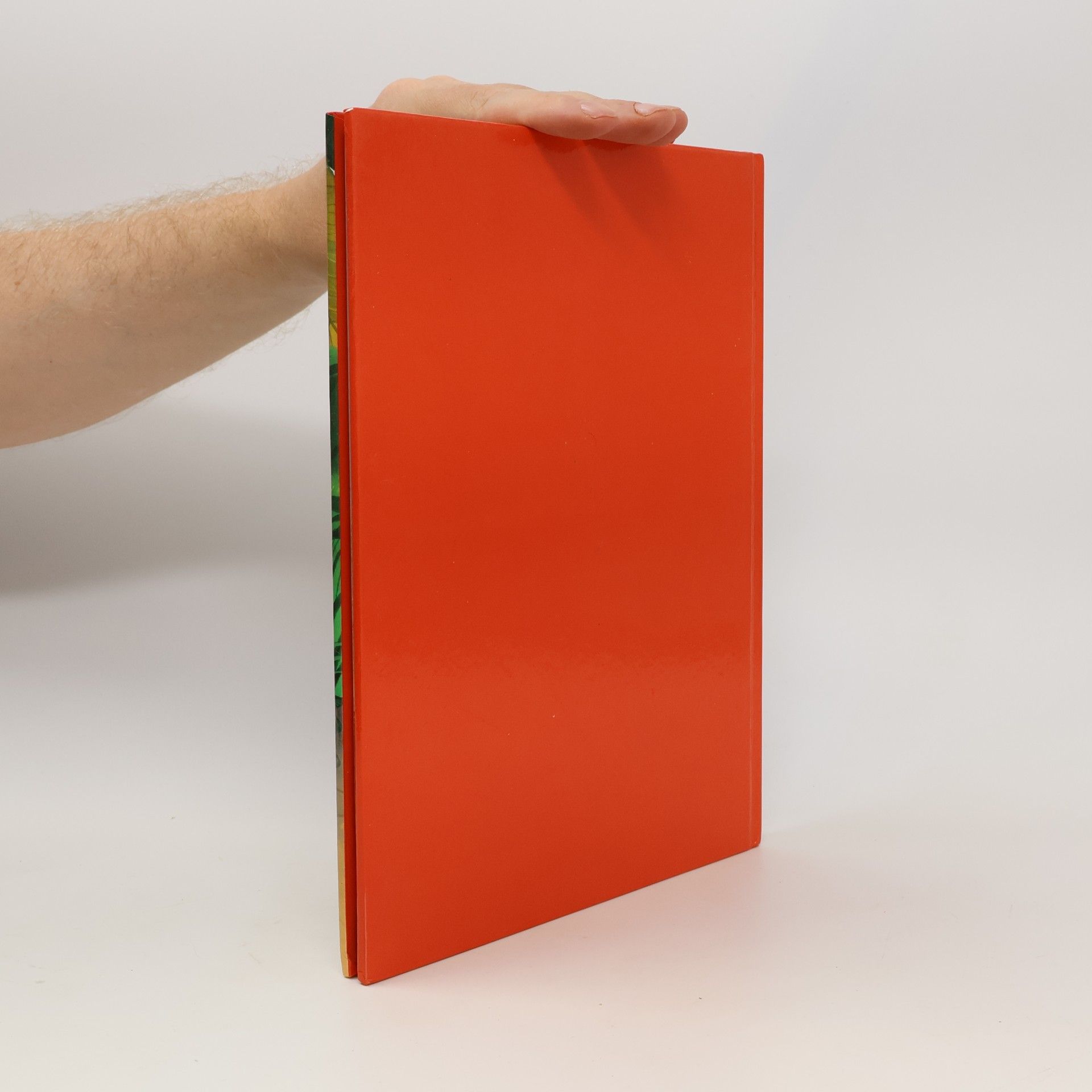 Autores varios Der kleine Däumerling und andere Märchen und Geschichten