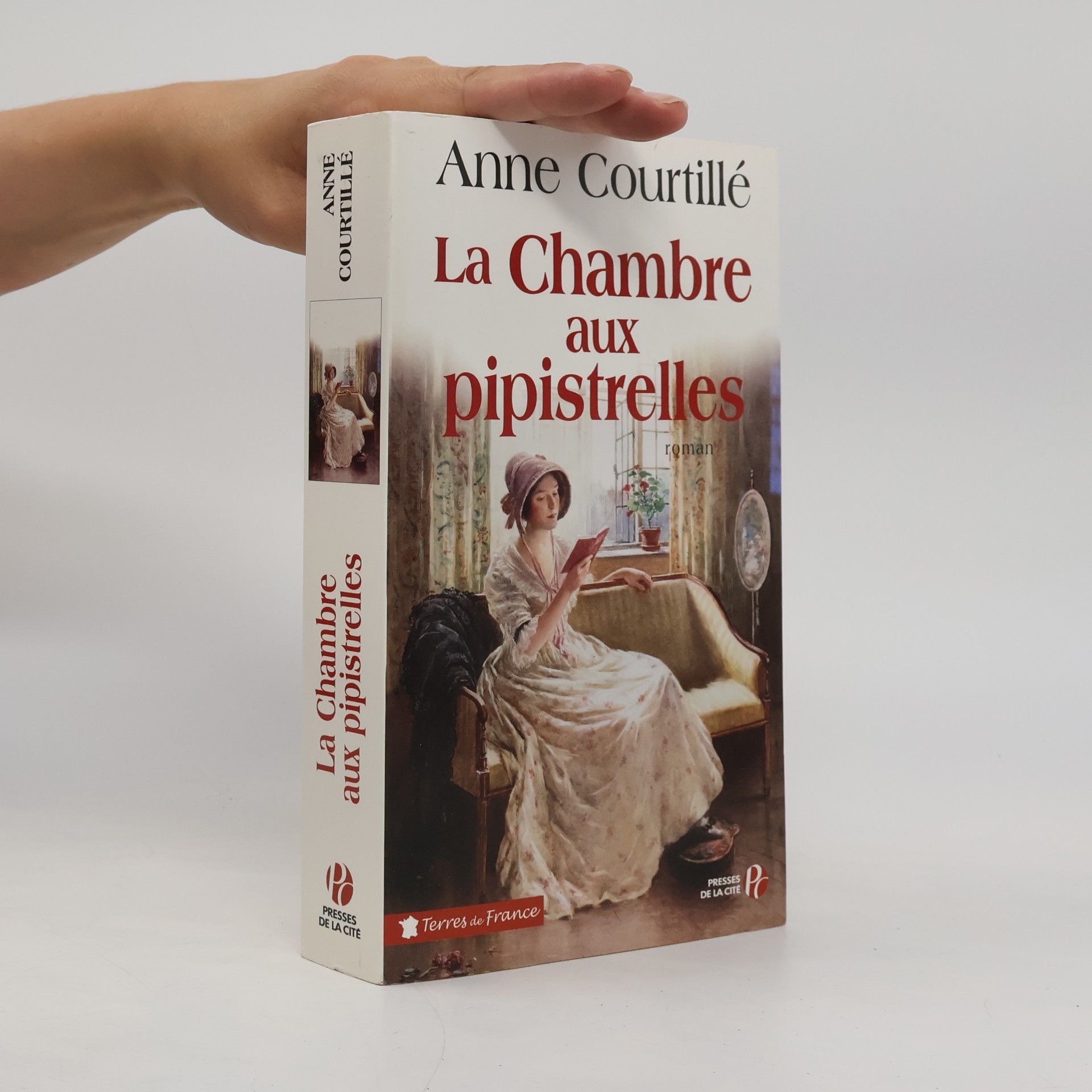 Anne Courtillé La chambre aux pipistrelles