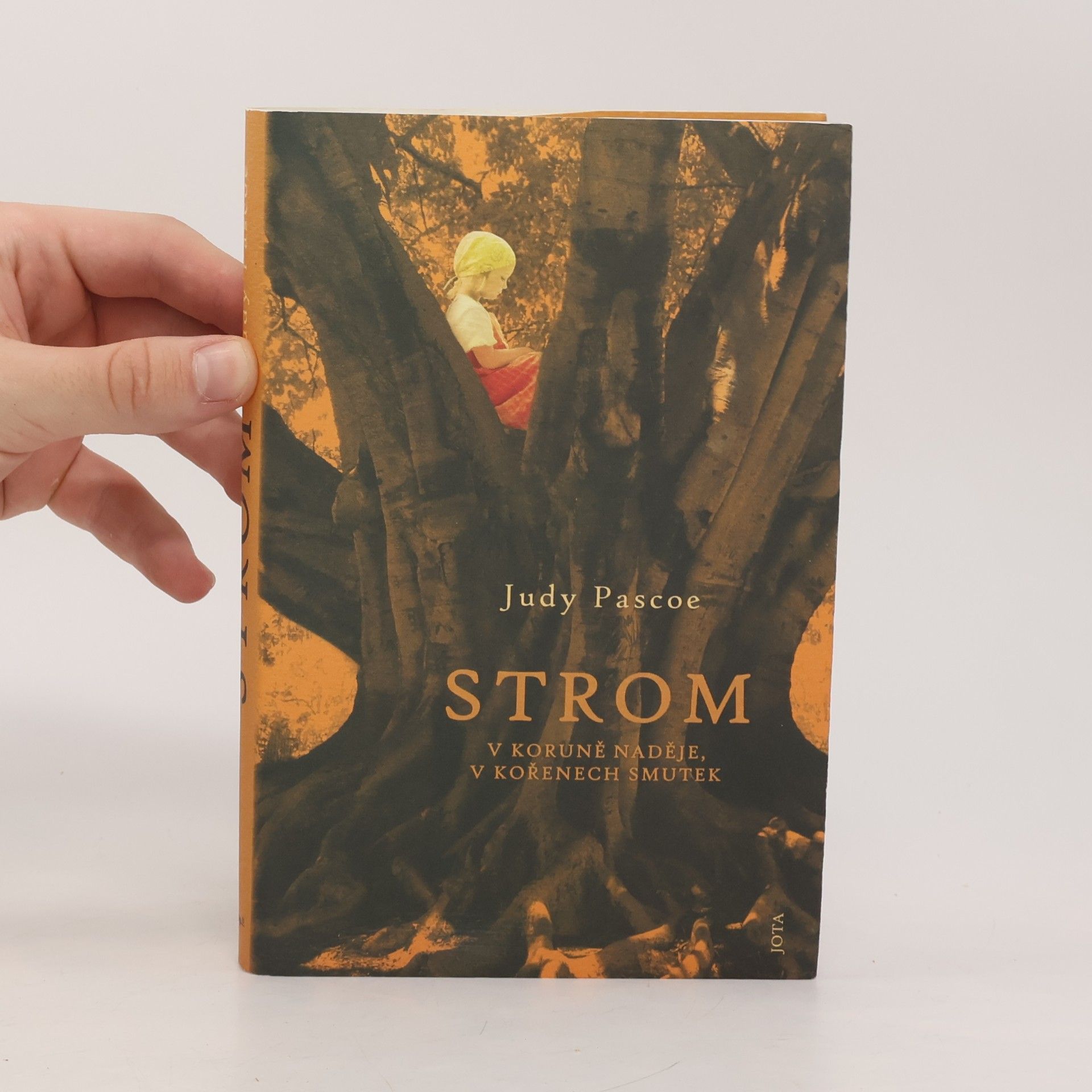 Judy Pascoe Strom. V koruně naděje, v kořenech smutek