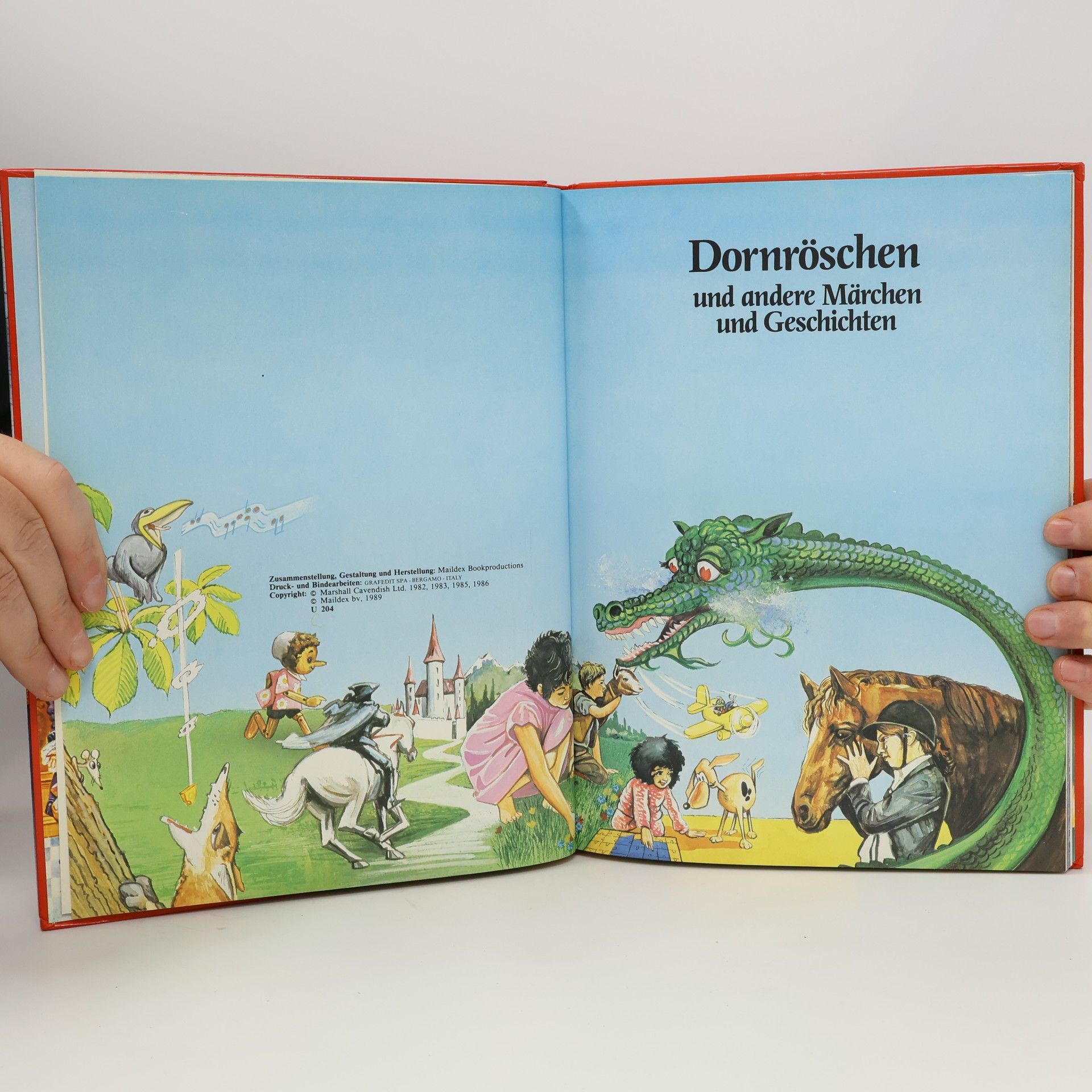 Autorenkollektiv Weltberühmte Märchen lesen und hören. Dornröschen und andere Märchen und Geschichten