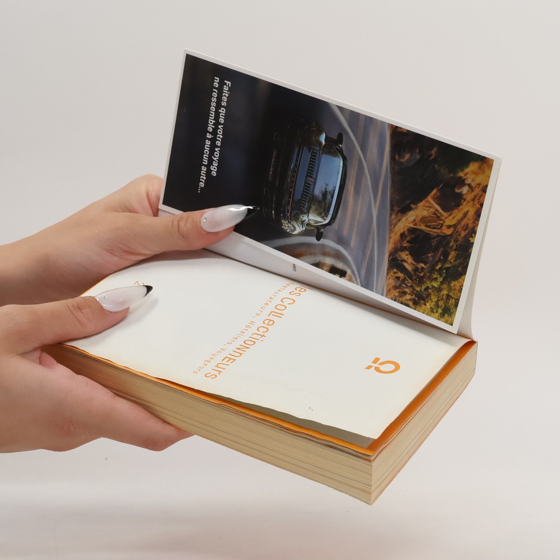 Kolektiv autorů les Collectionneurs: Restaurateurs, Hôteliers, Voyageurs