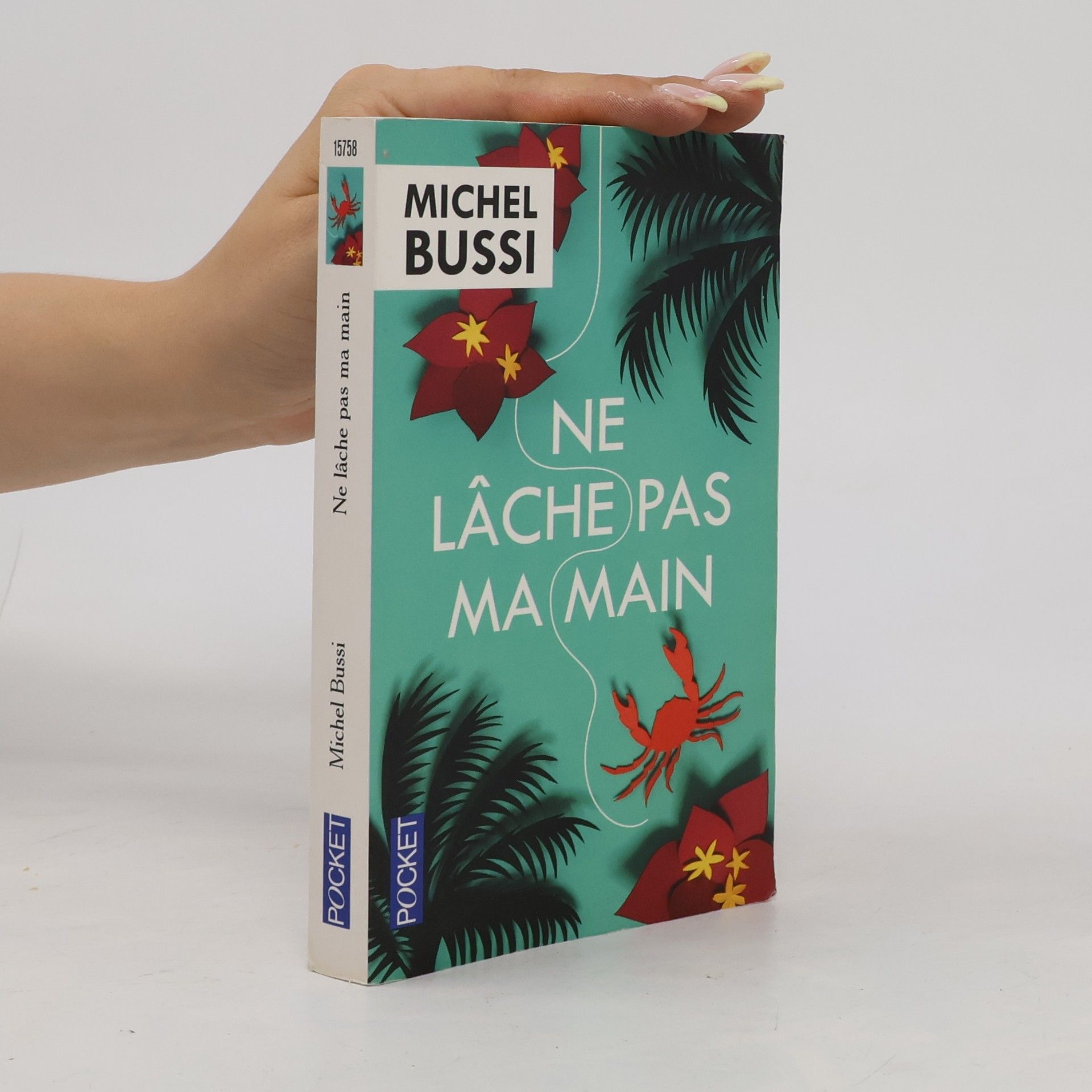 Michel Bussi Ne lâche pas ma main