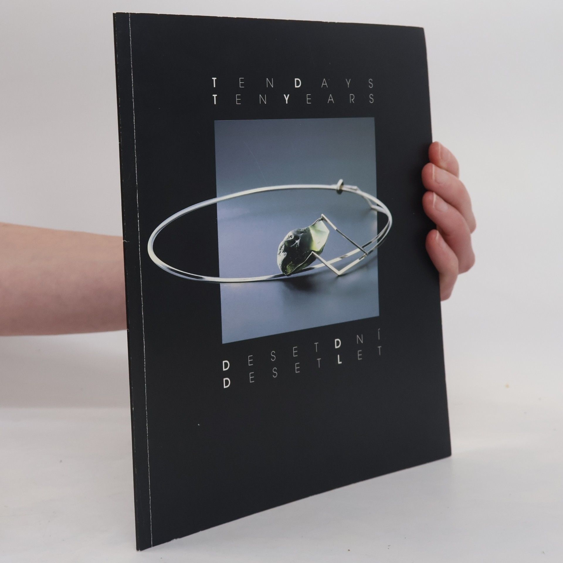 Collectif d'auteurs Ten Days Ten Years = Deset dní deset let