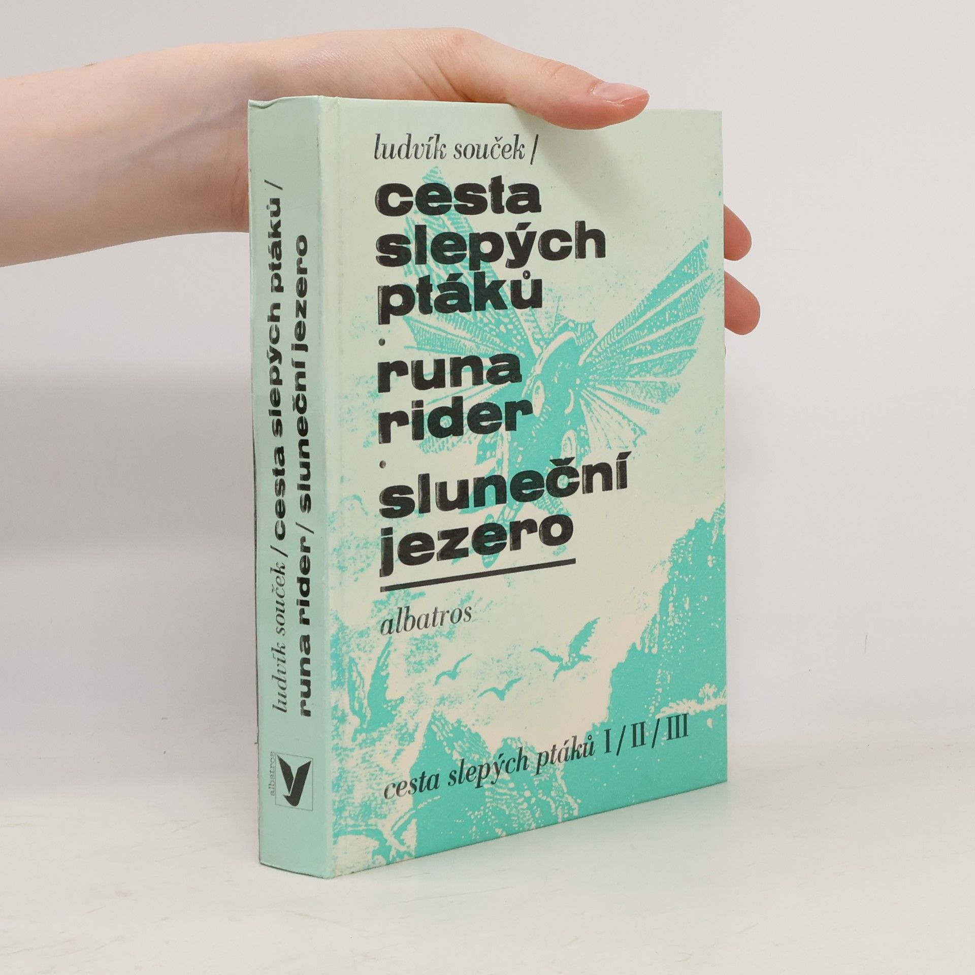 Ludvík Souček Cesta slepých ptáků. Runa rider. Sluneční jezero