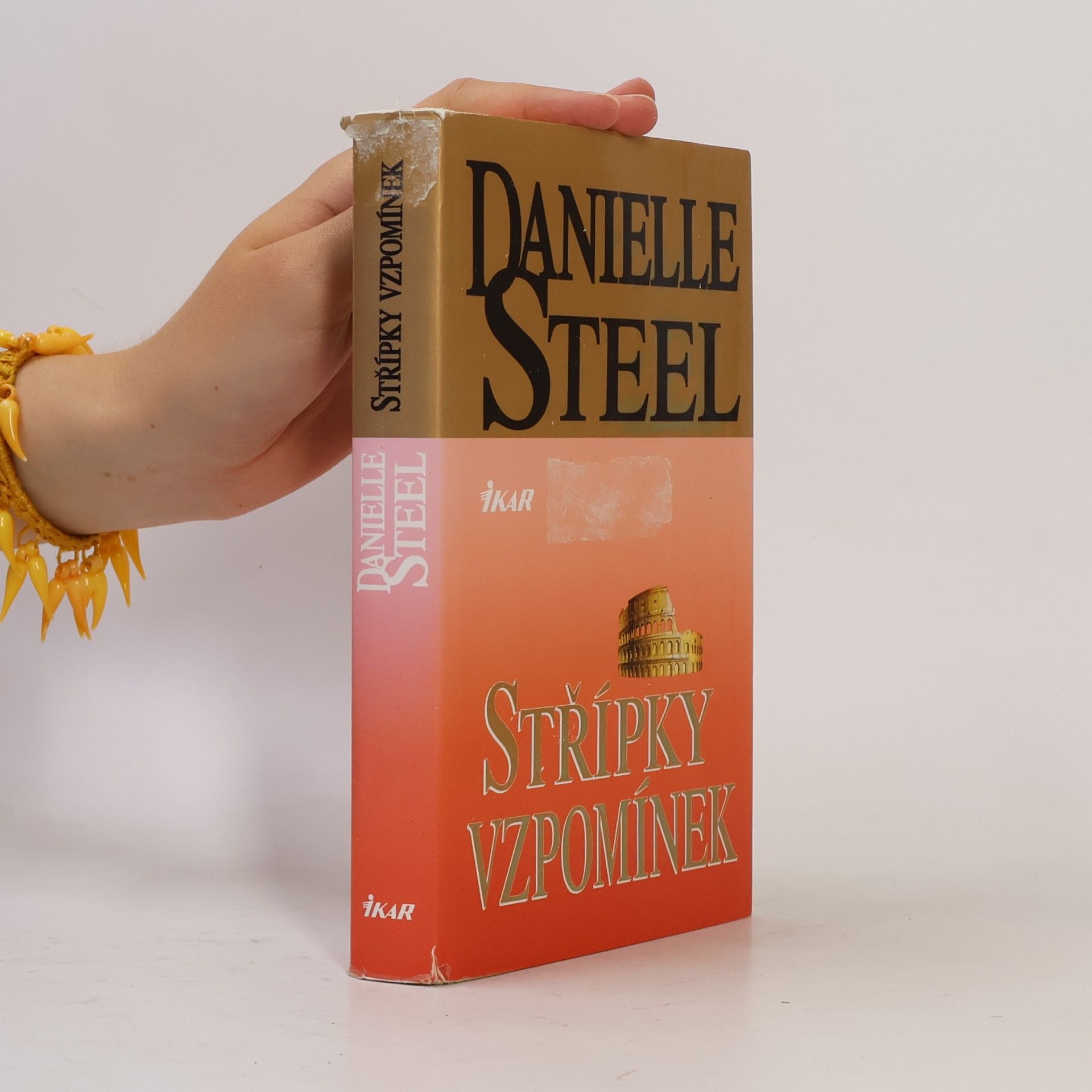Danielle Steelová Střípky vzpomínek