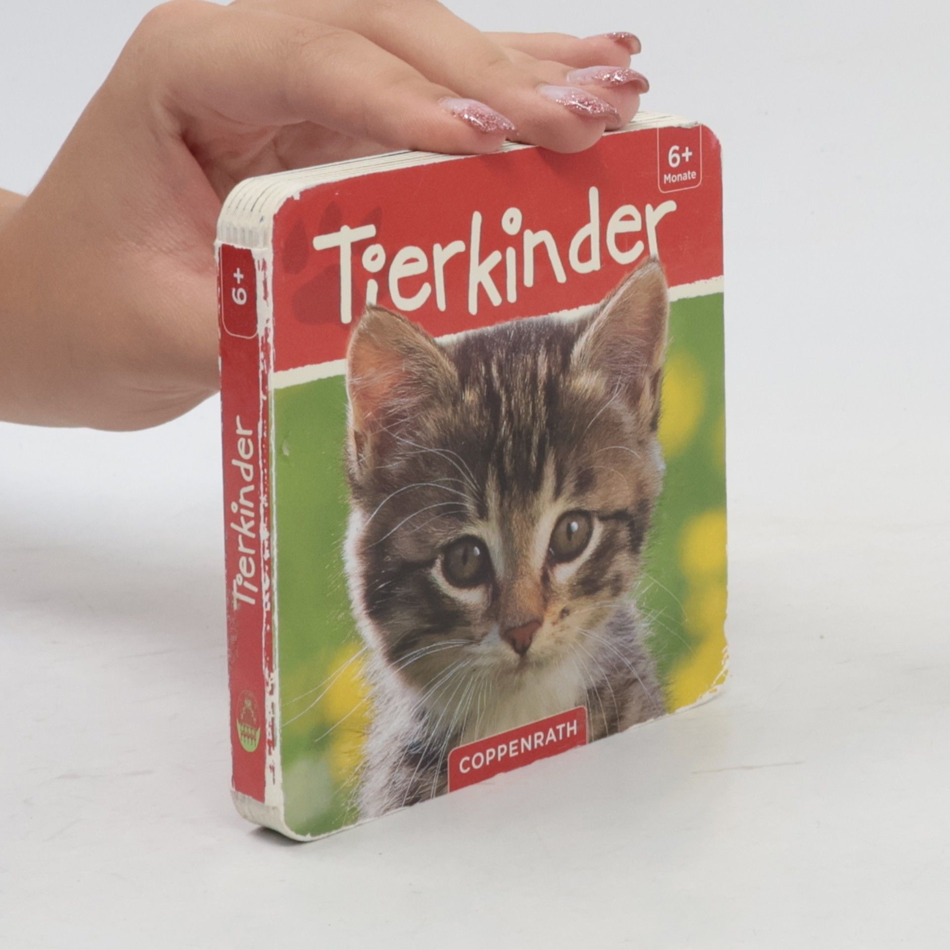 Collectif d'auteurs Tierkinder