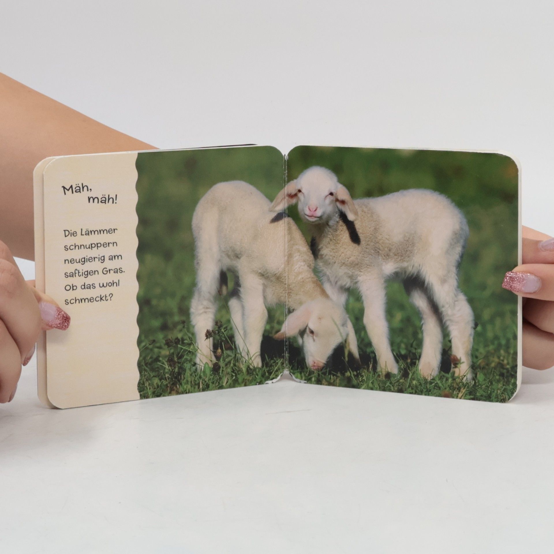 Tierkinder