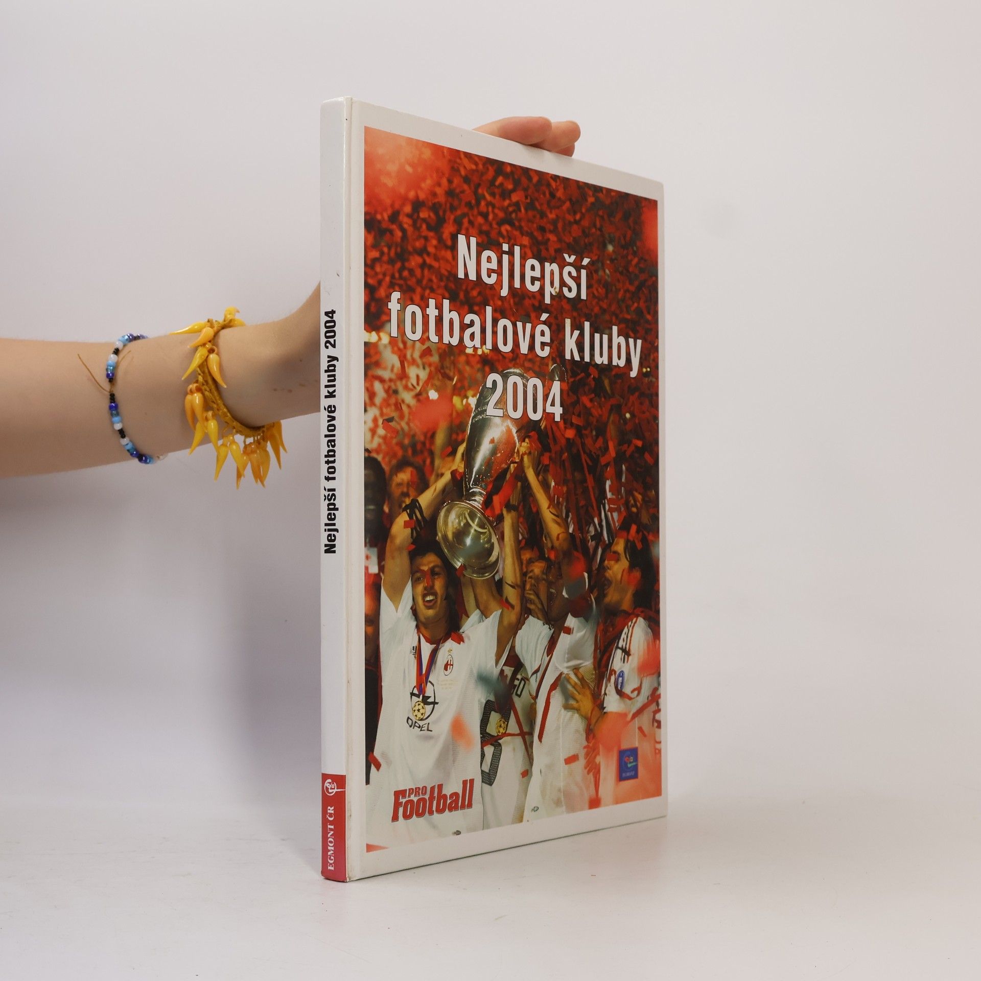 Nejlepší fotbalové kluby 2004
