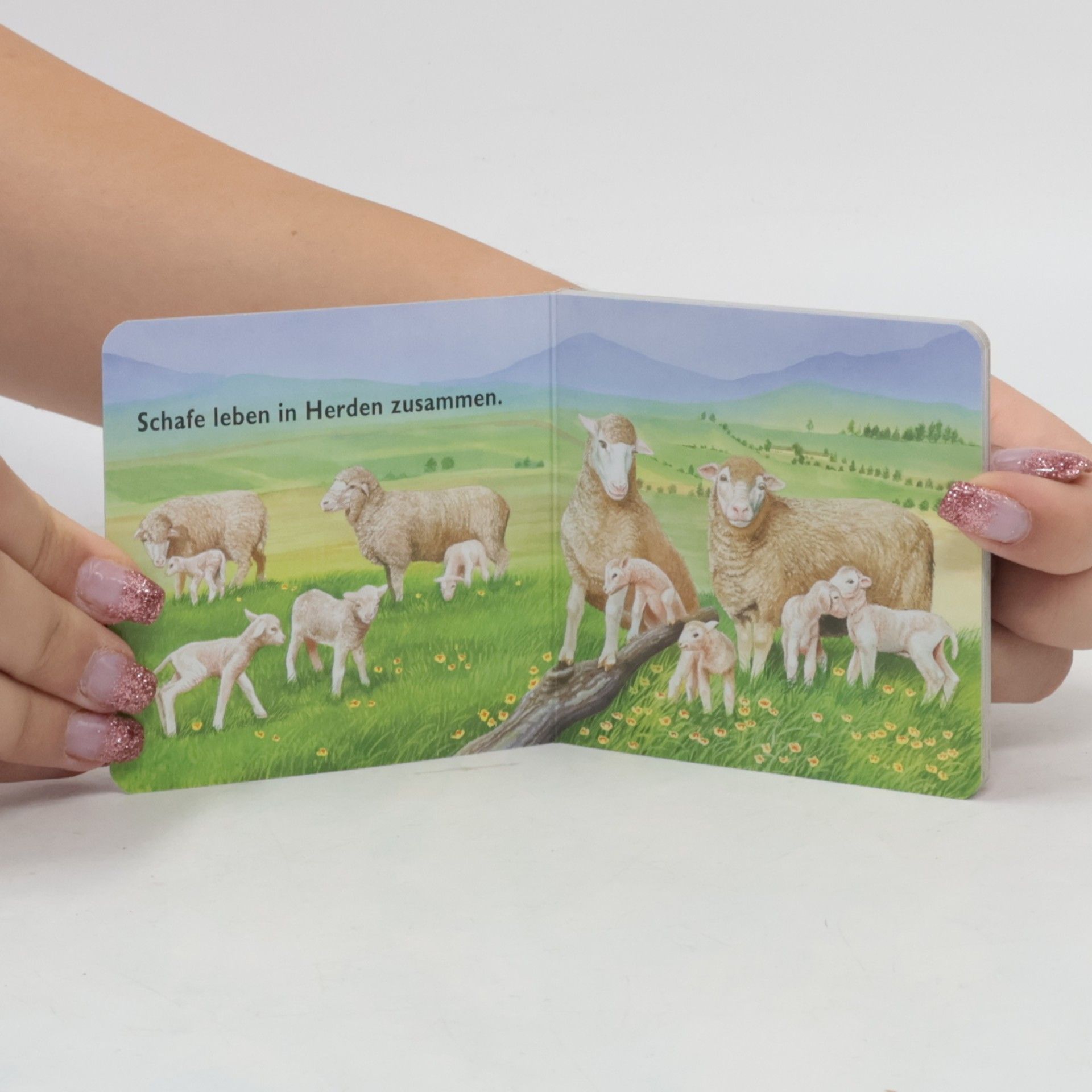Autorenkollektiv Tiere auf dem Bauernhof