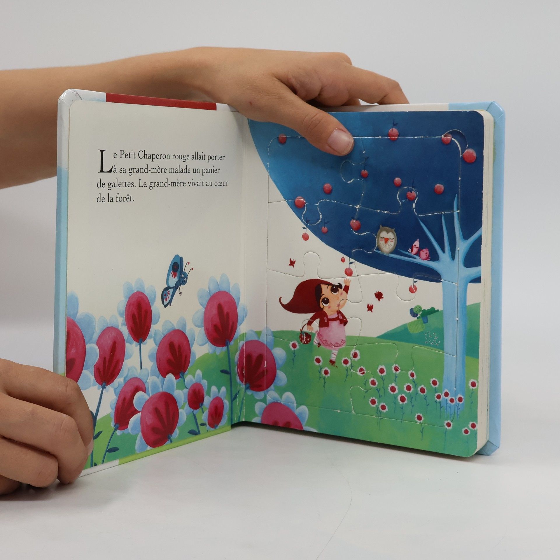 Virginie Martins-B Le Petit Chaperon rouge