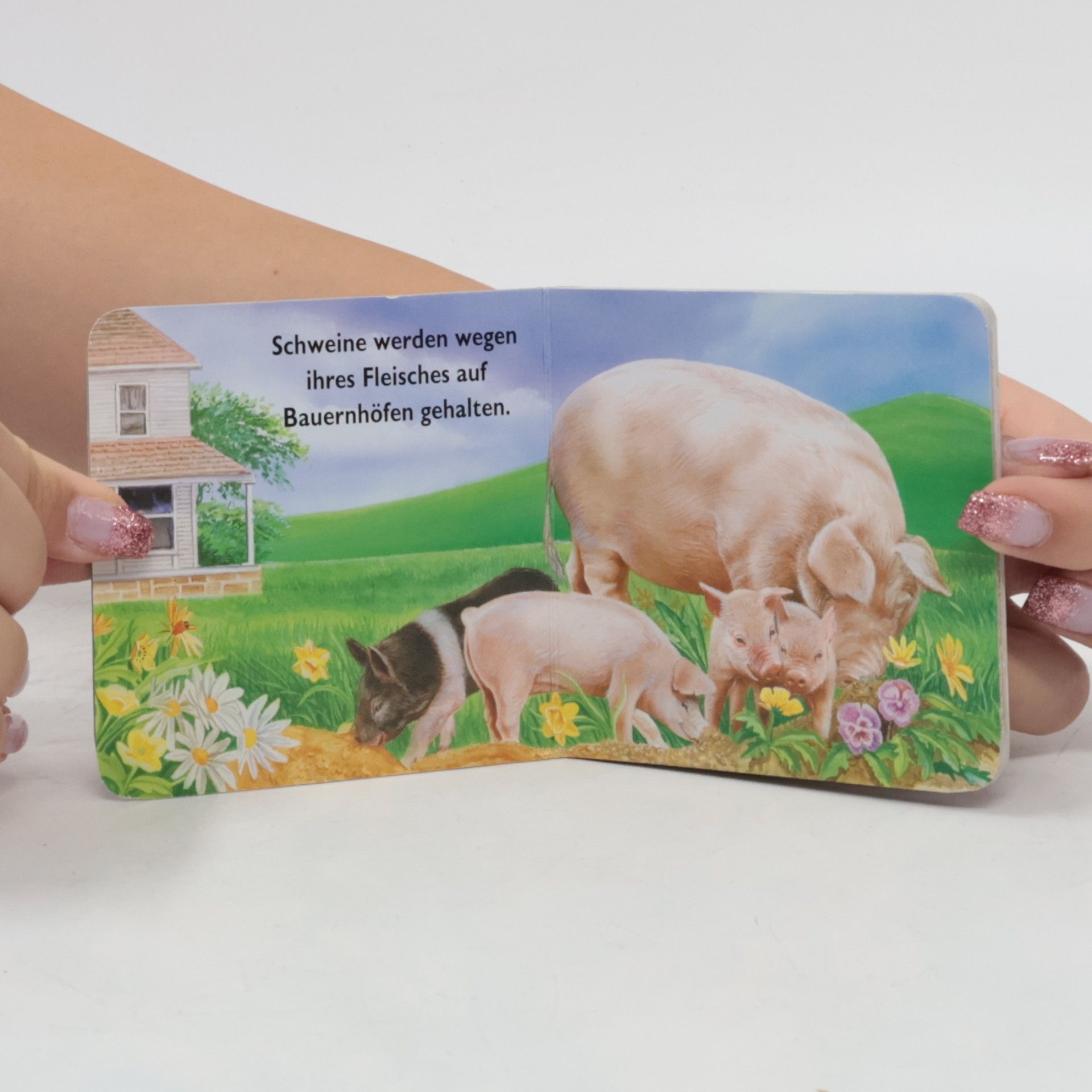 Autorenkollektiv Tiere auf dem Bauernhof