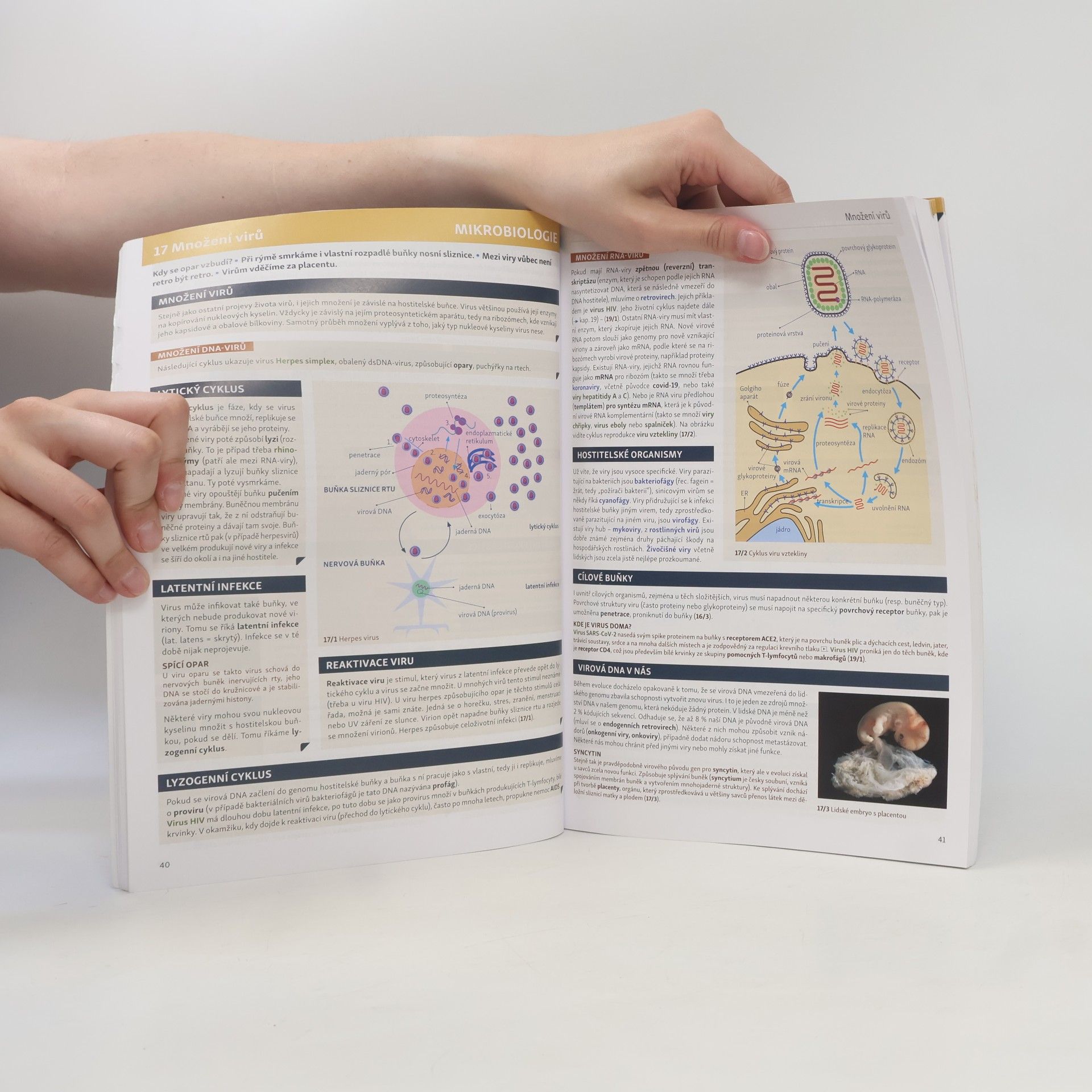 Eduko Biologie v souvislostech 1