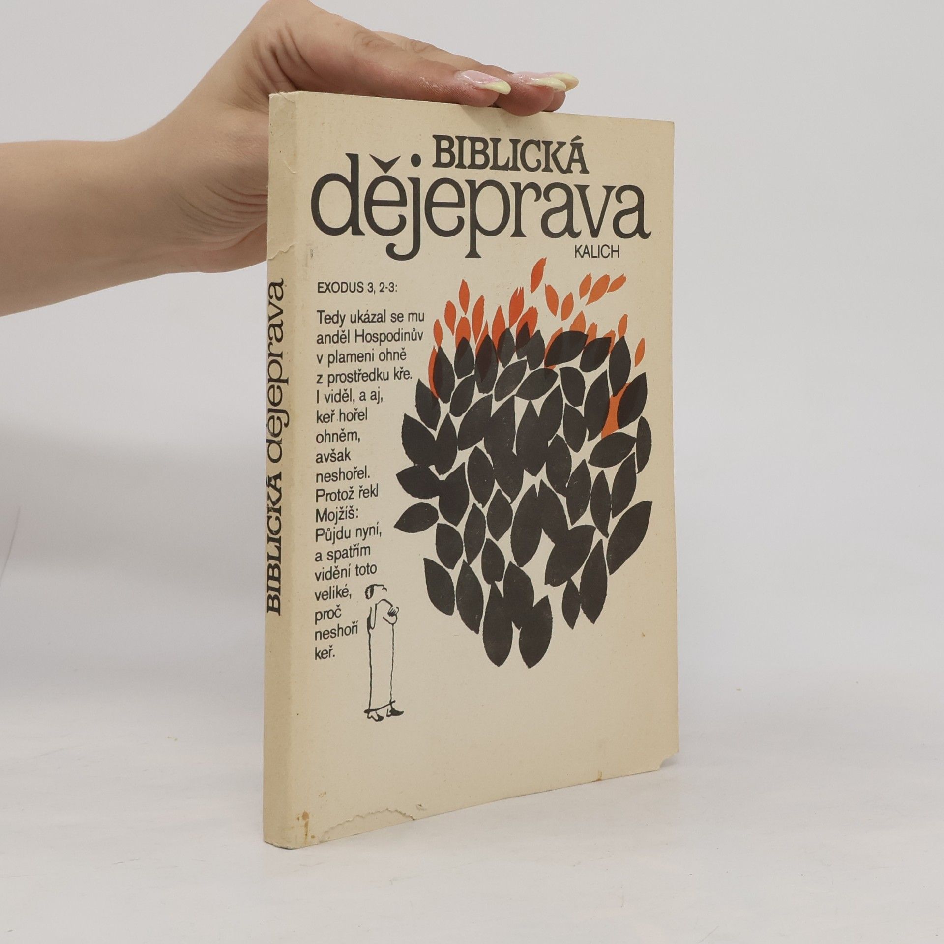 Viktor Hájek Biblická dějeprava