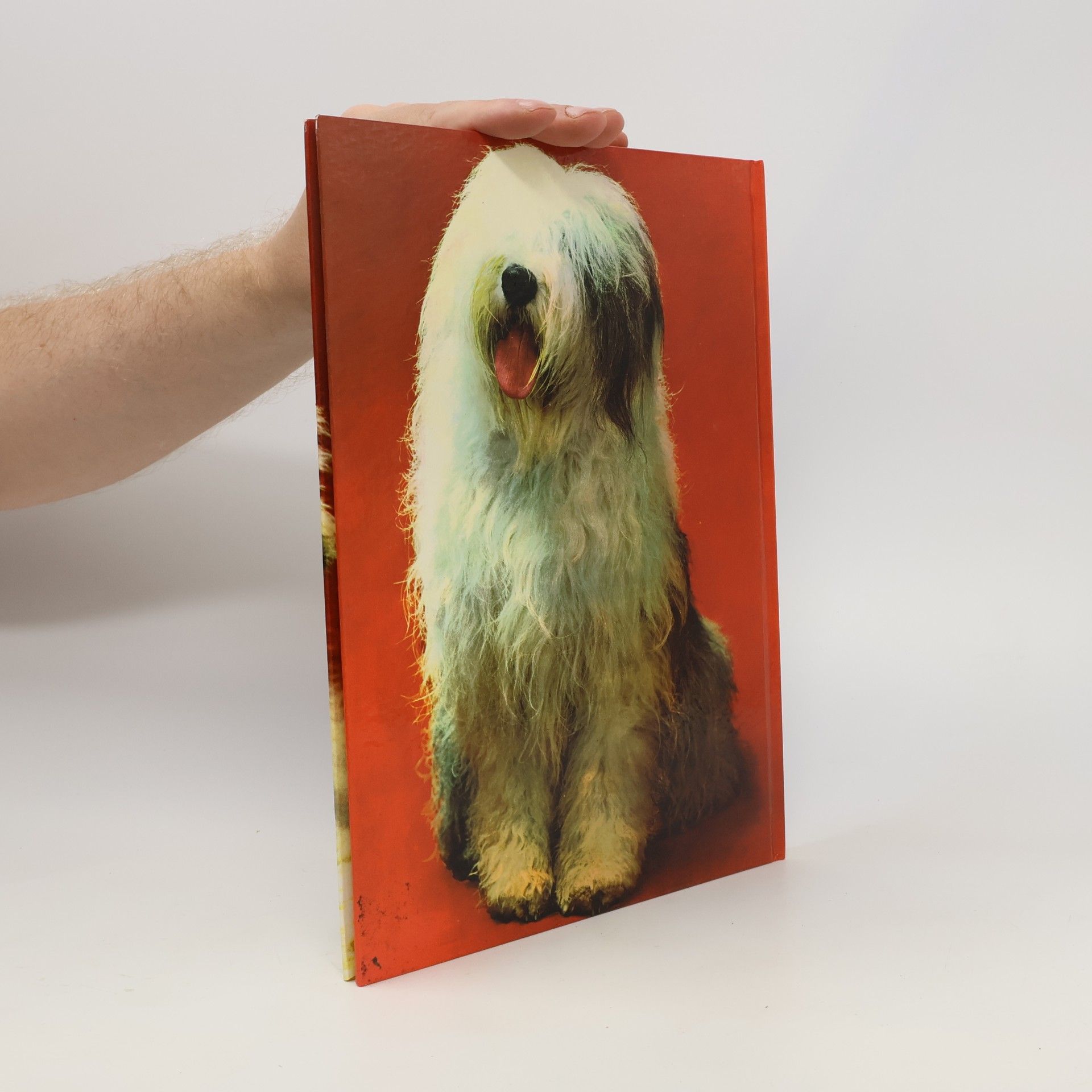 Various authors Hunde mit 79 Farbfotos