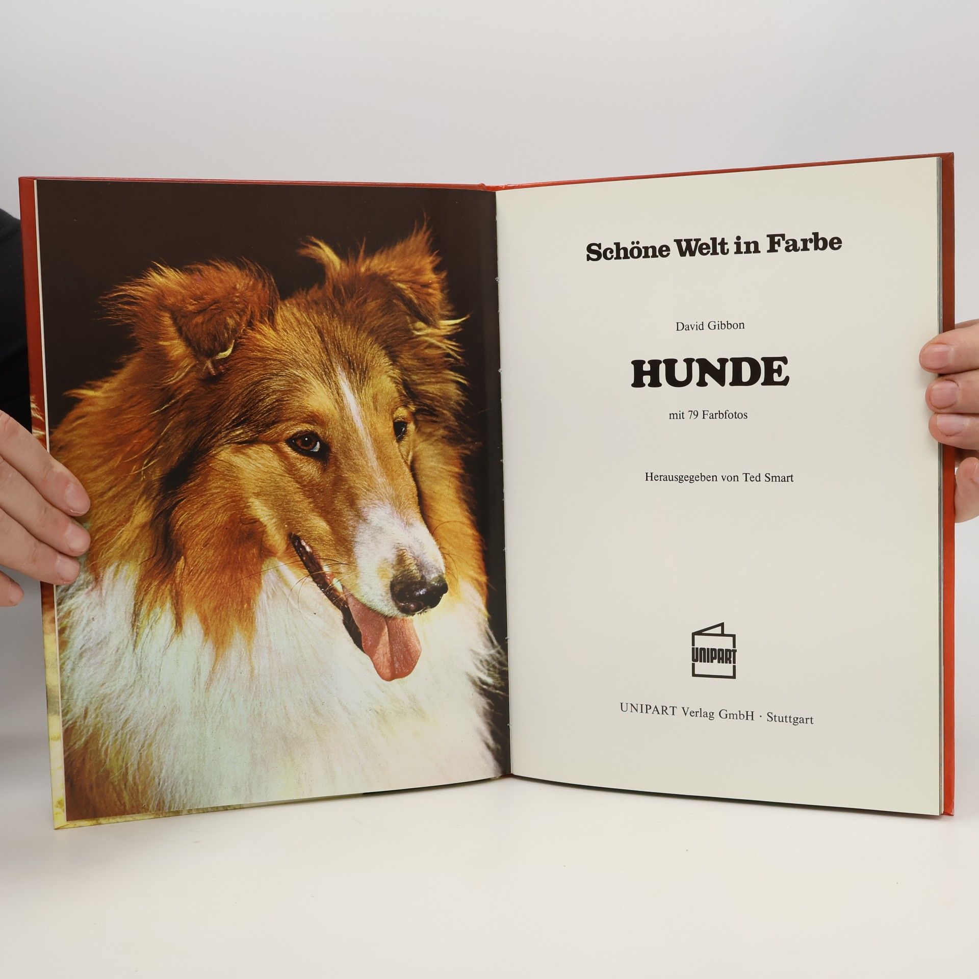 Various authors Hunde mit 79 Farbfotos