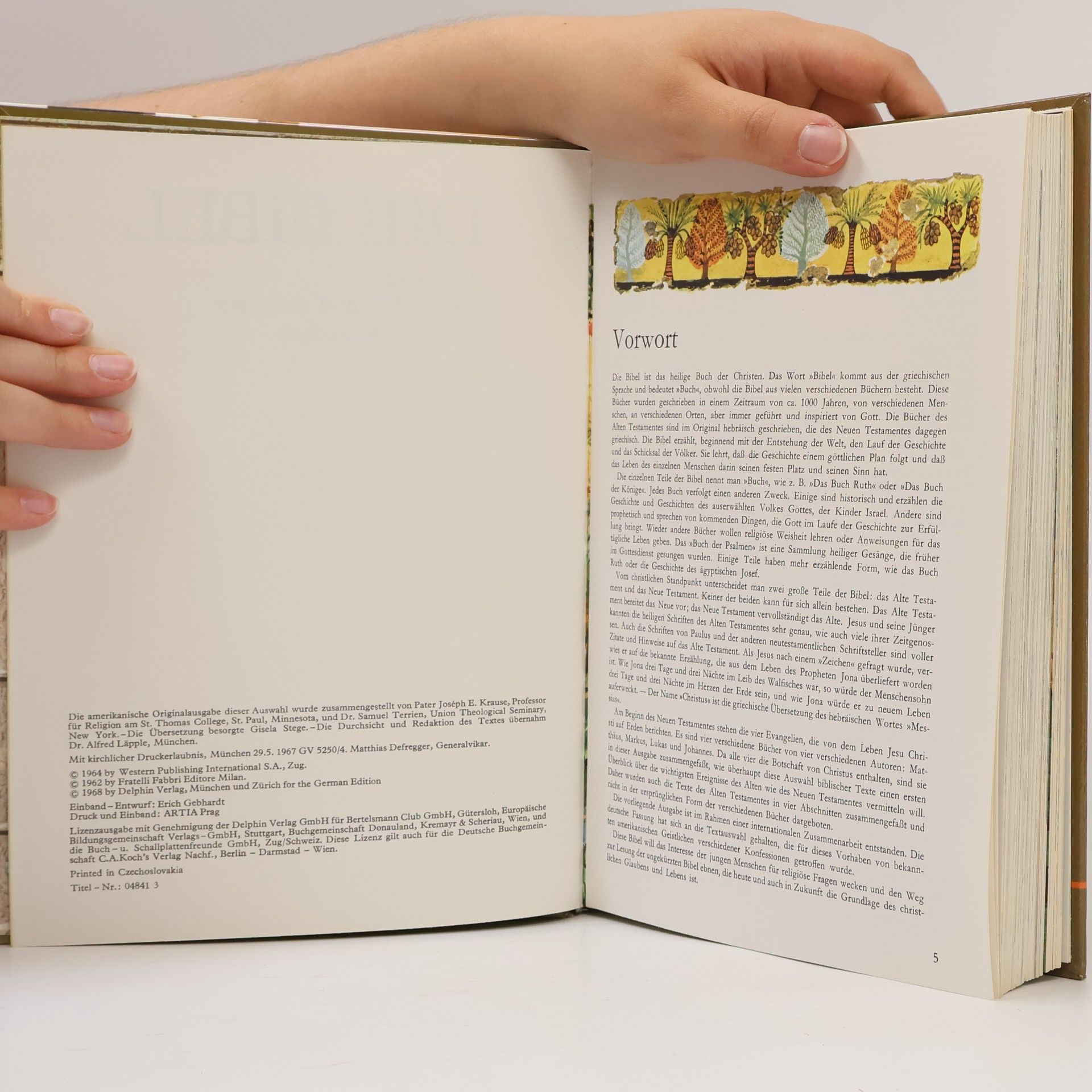 Autorenkollektiv Die Bibel für junge Menschen