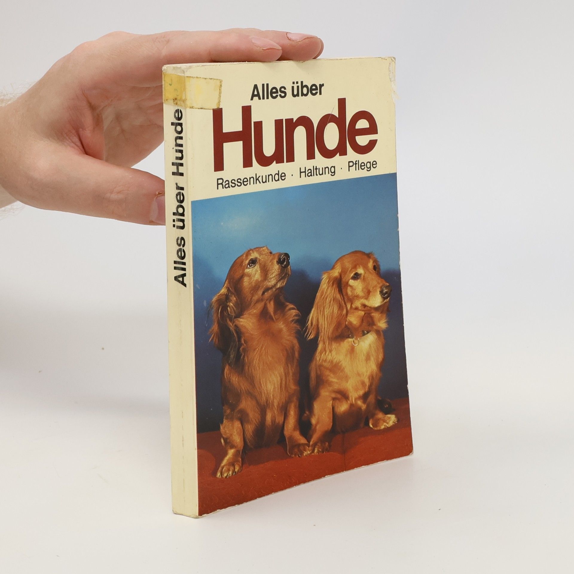 Autorenkollektiv Alles über Hunde