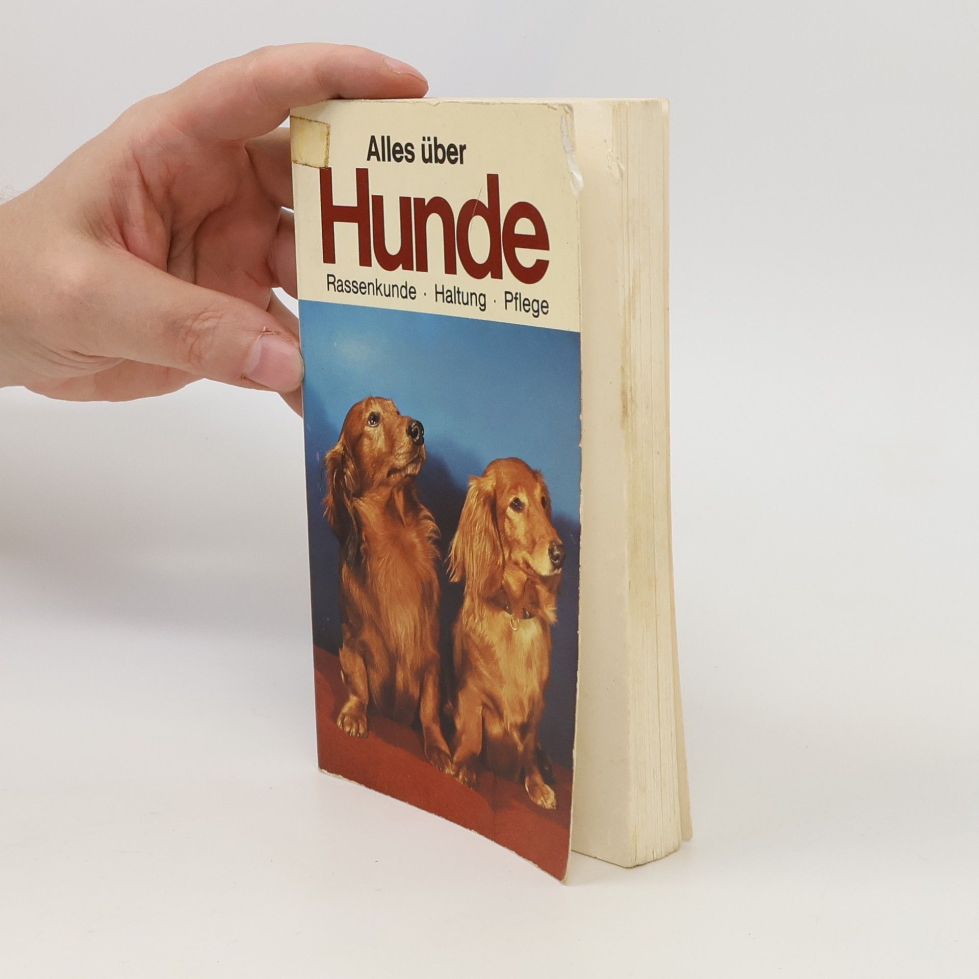 Autorenkollektiv Alles über Hunde