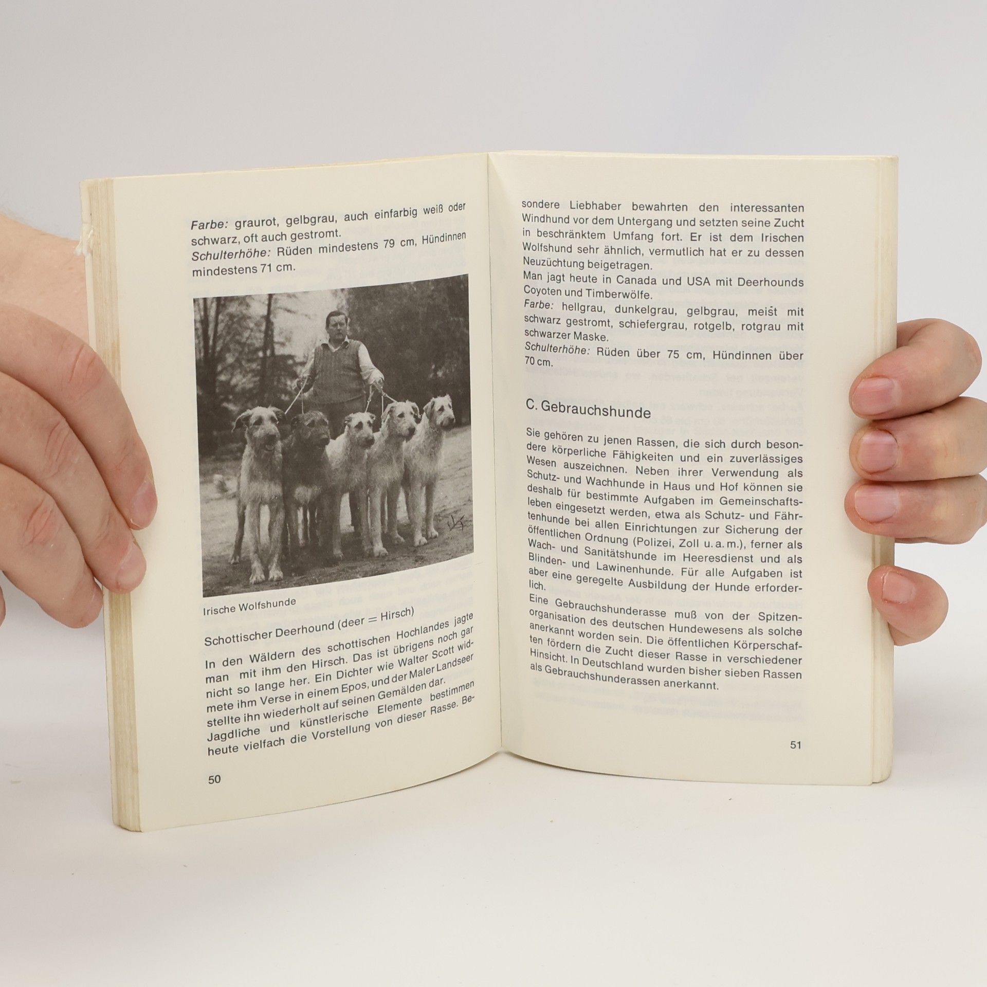 Autorenkollektiv Alles über Hunde