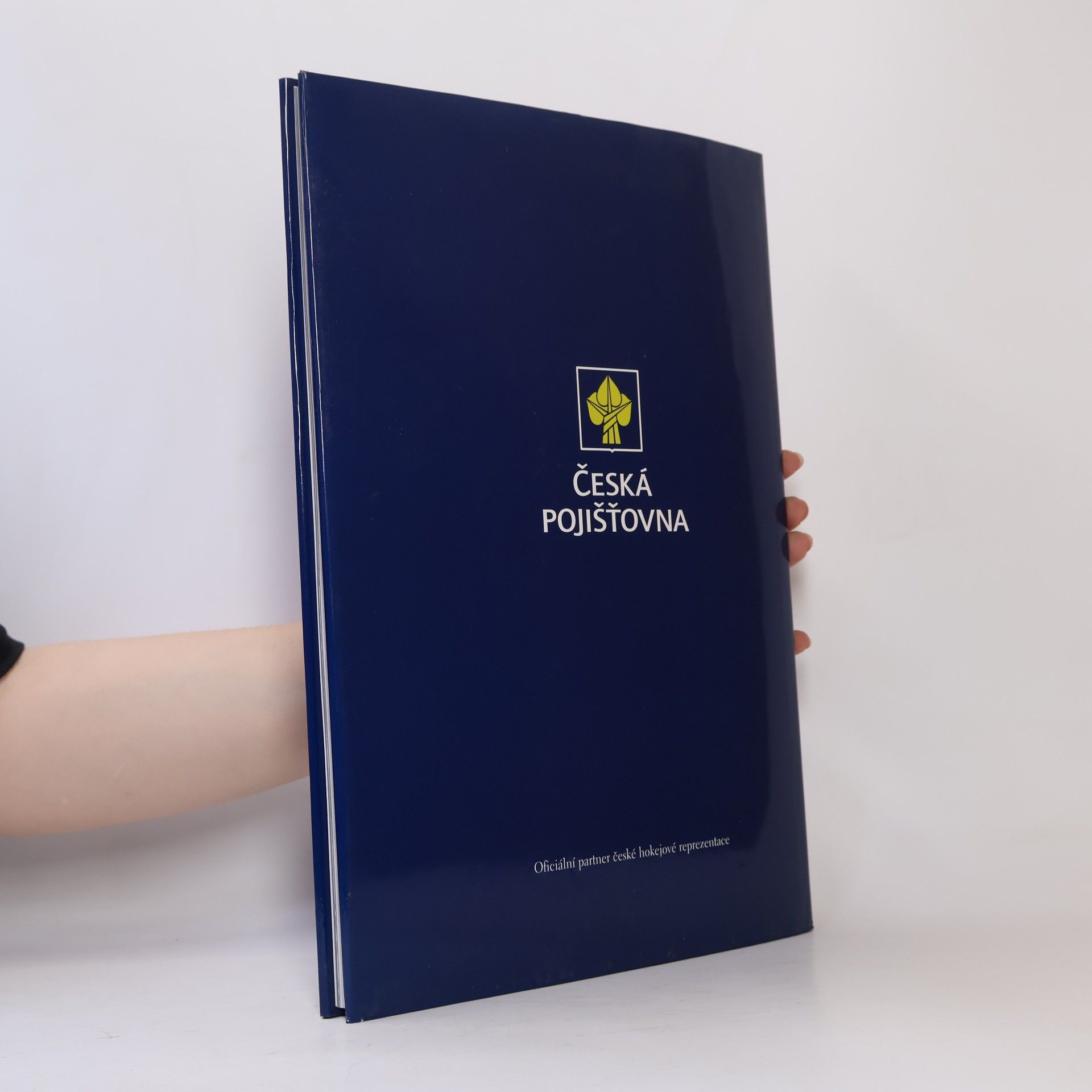 Jiří Koliš Vítězové kniha radosti našeho hokeje