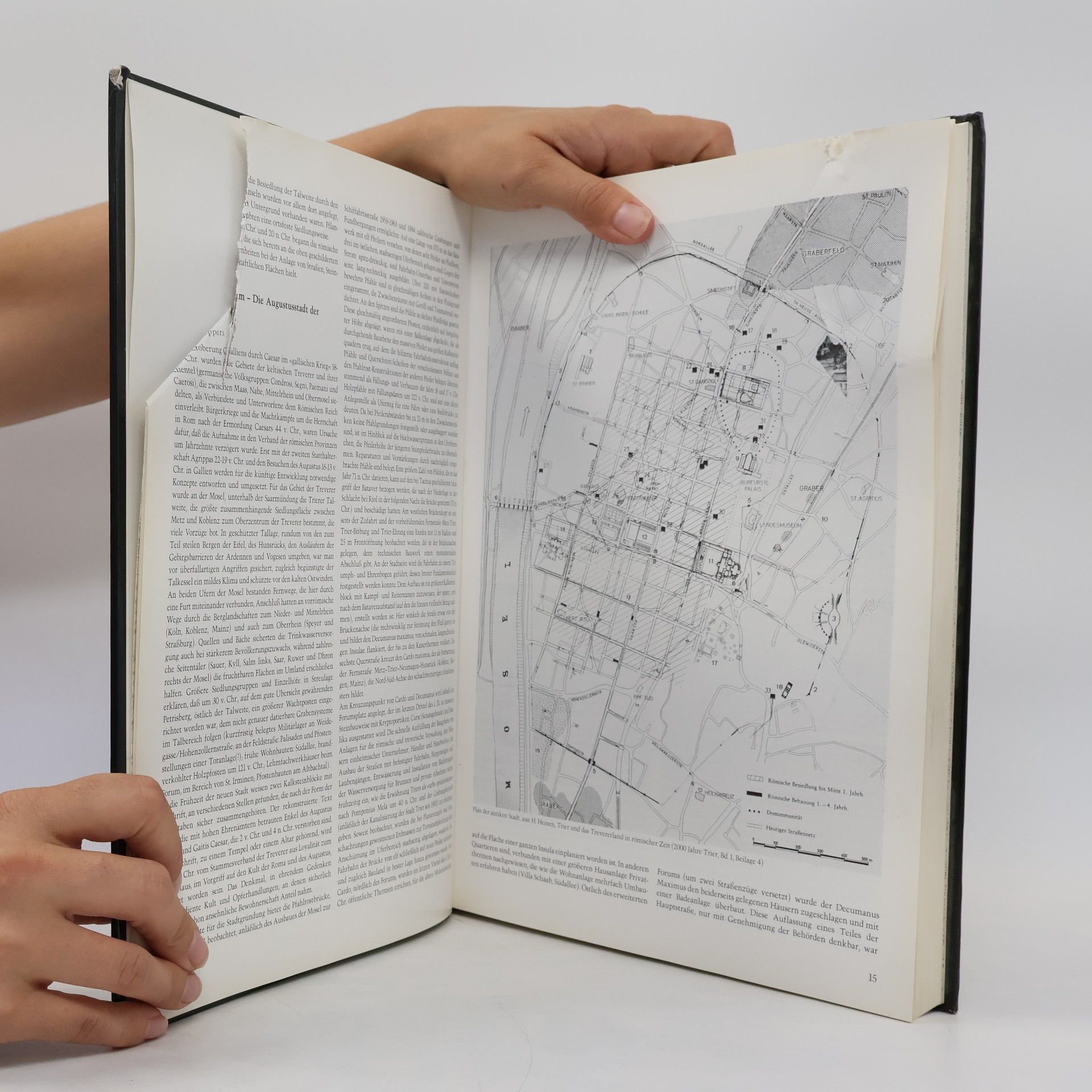 Patrick Ostermann Denkmaltopographie Bundesrepublik Deutschland - 17.1: Kulturdenkmäler in Rheinland-Pfalz
