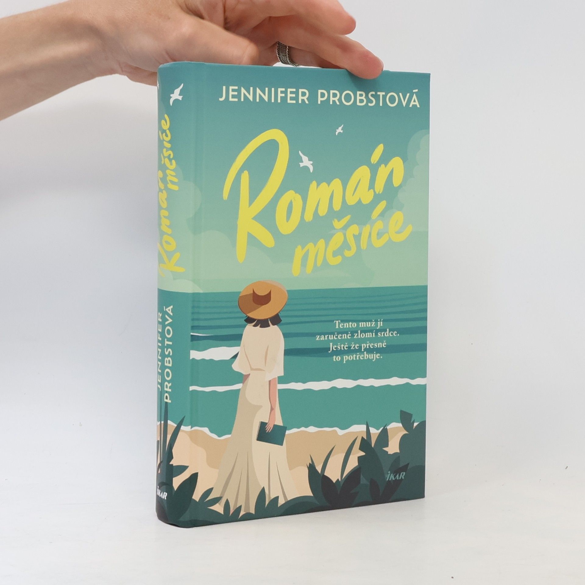 Jennifer Probst Román měsíce