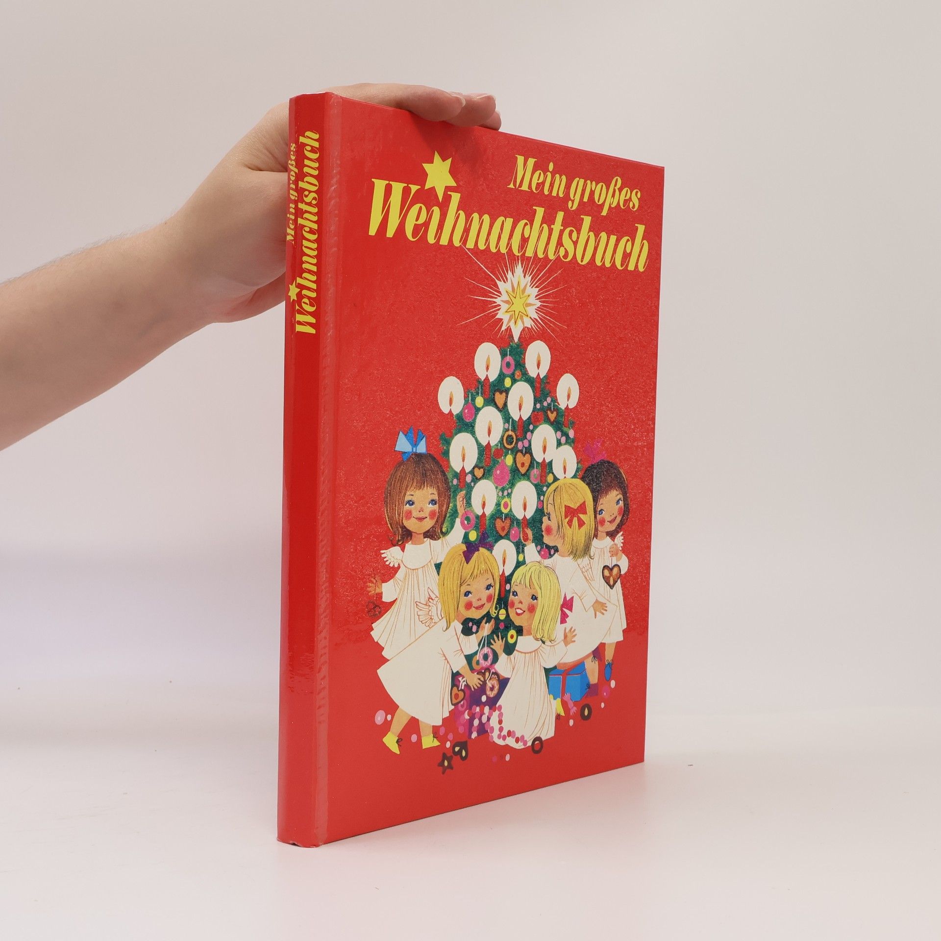 Collectif d'auteurs Mein großes Weihnachtsbuch