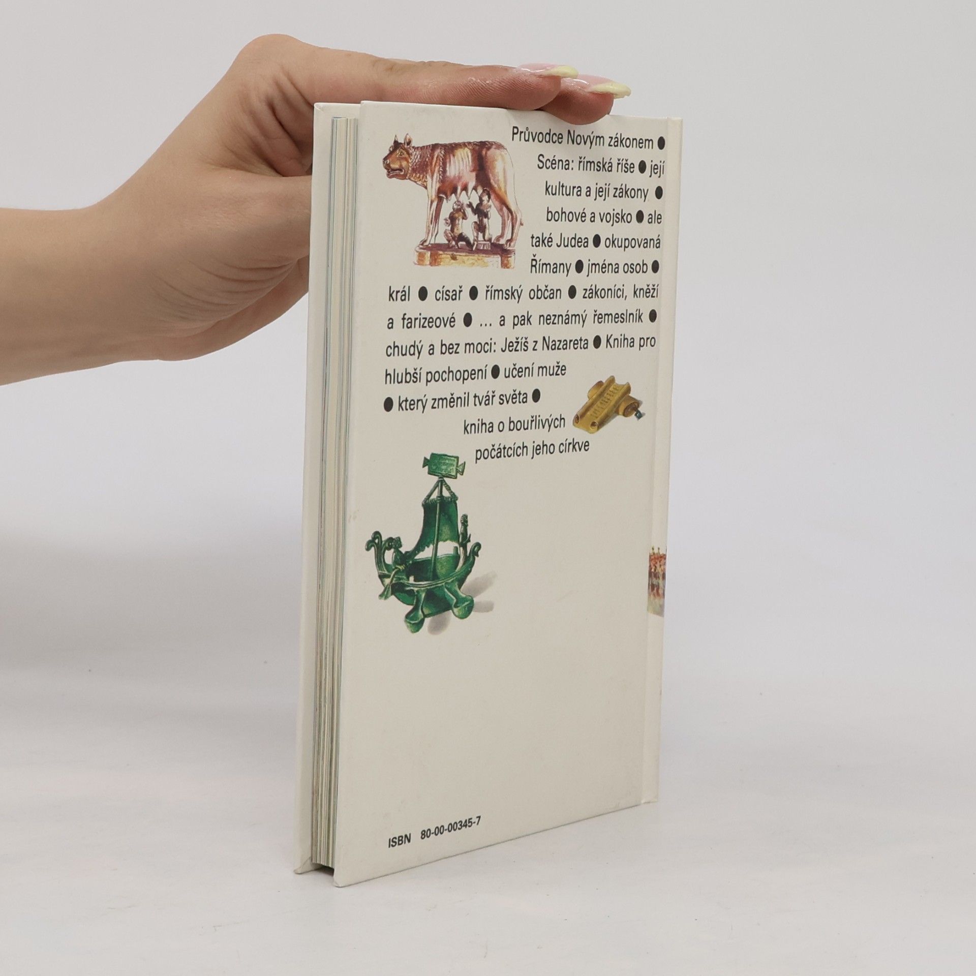 Autorenkollektiv Kniha o Bibli. Nový zákon