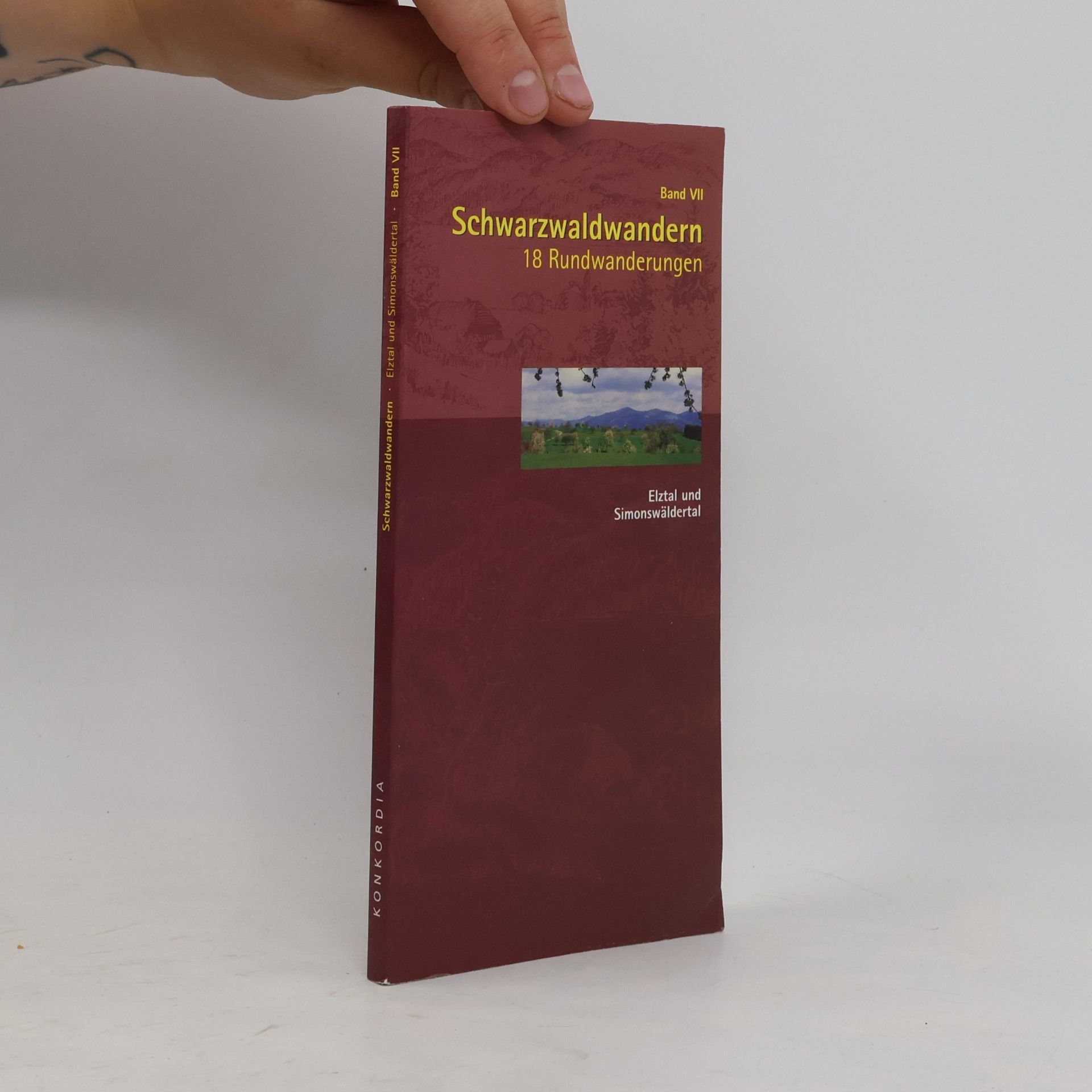 Autorenkollektiv Schwarzwaldwandern: 18 Rundwanderungen. Band VII