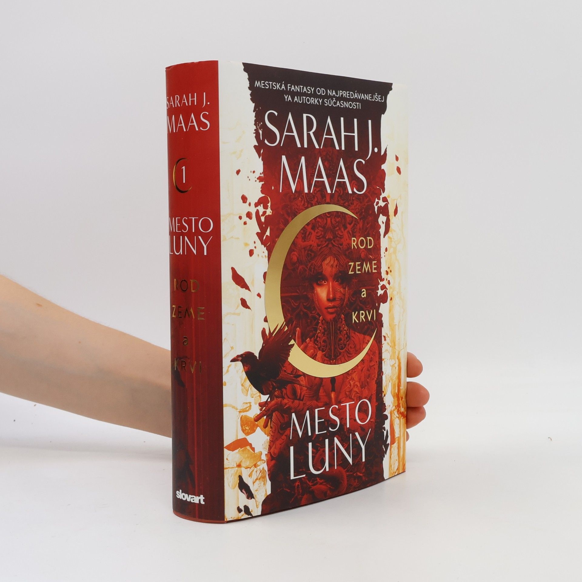Sarah J. Maas Rod zeme a krvi