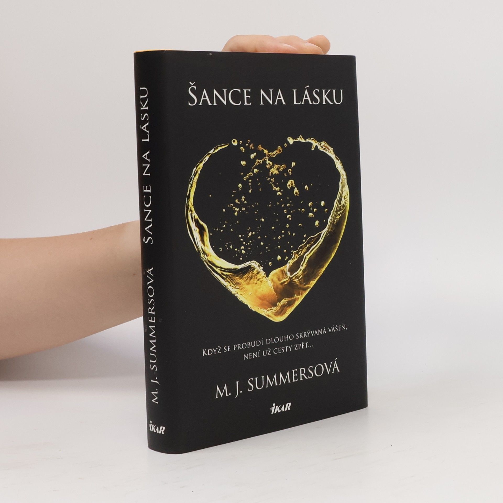 M. J. Summers Šance na lásku