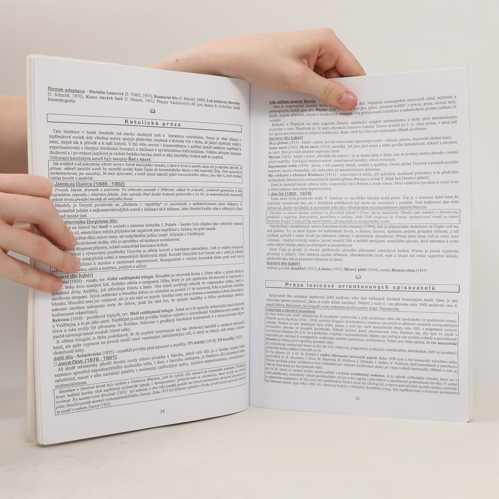 Vladimír Prokop Přehled české literatury 20. století