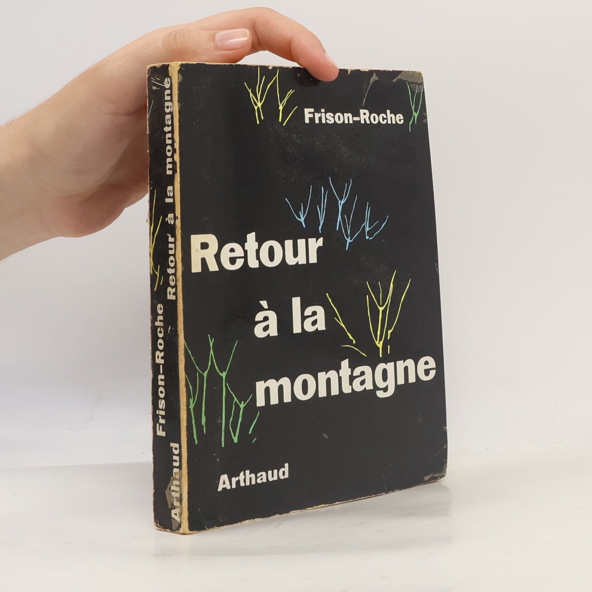 Roger Frison-Roche Retour à la montagne