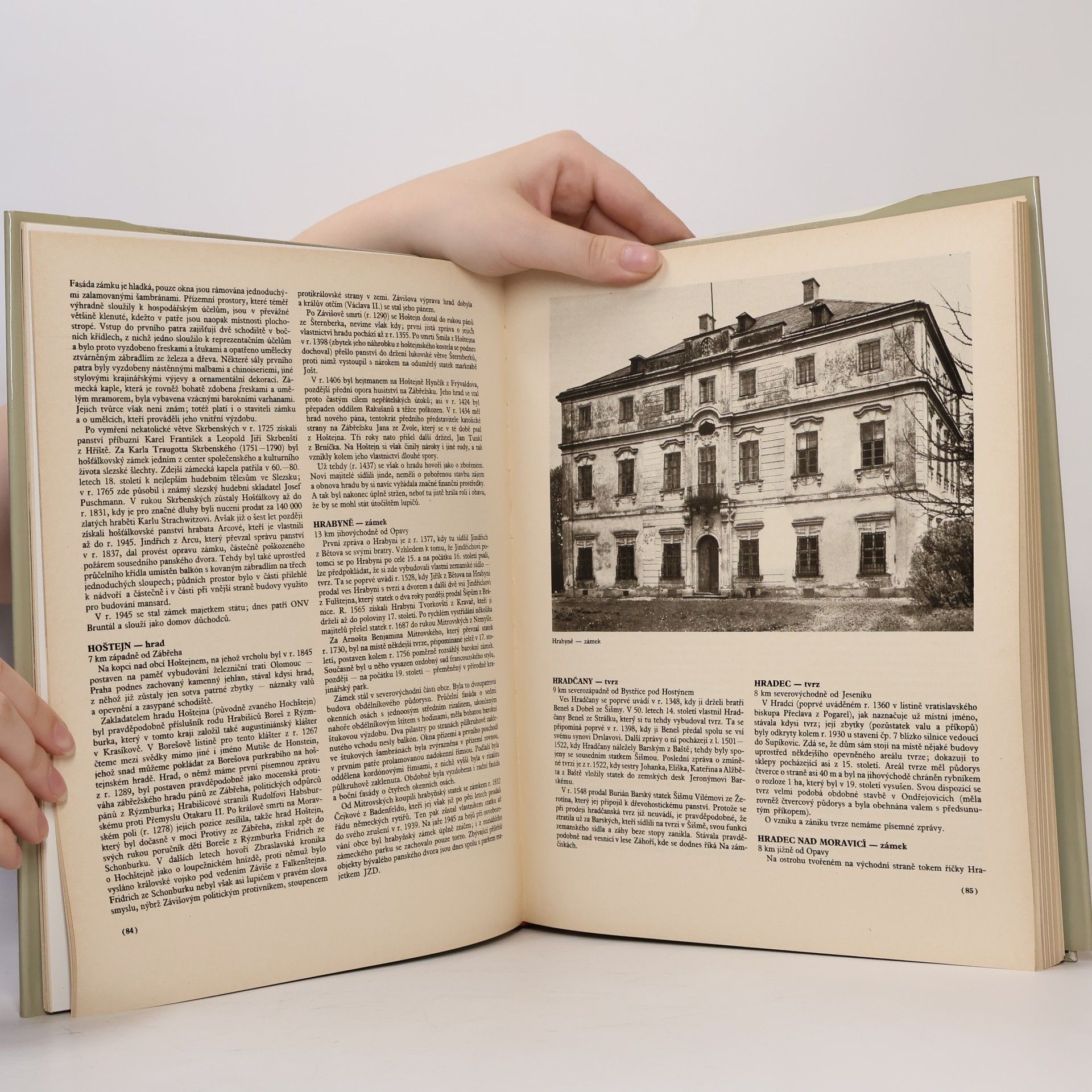 Various authors Hrady, zámky a tvrze v Čechách, na Moravě a ve Slezsku II. Severní Morava