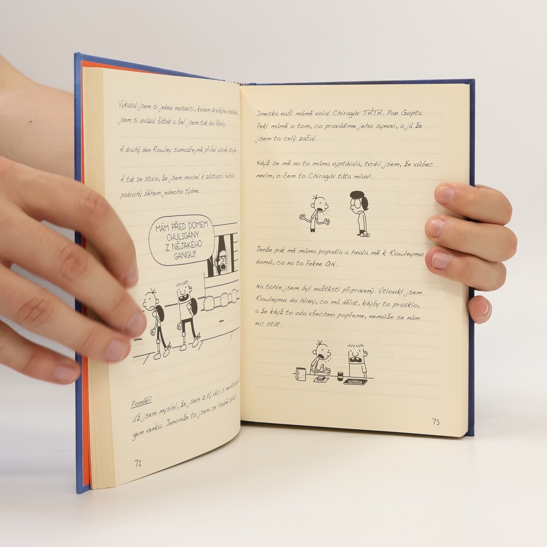 Jeff Kinney Deník malého poseroutky 2. Rodrick je king