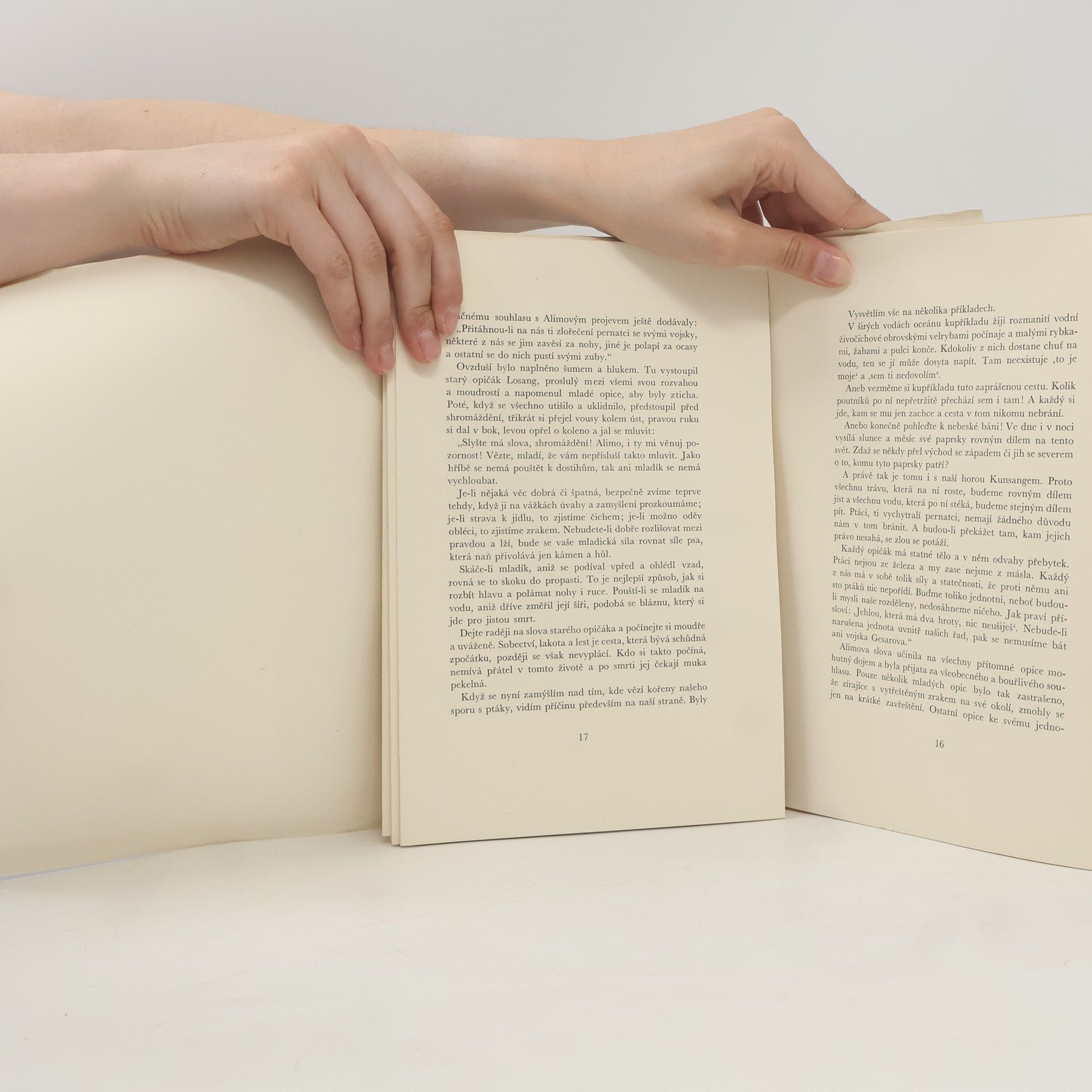 Autorenkollektiv Bajky o ptácích a opicích