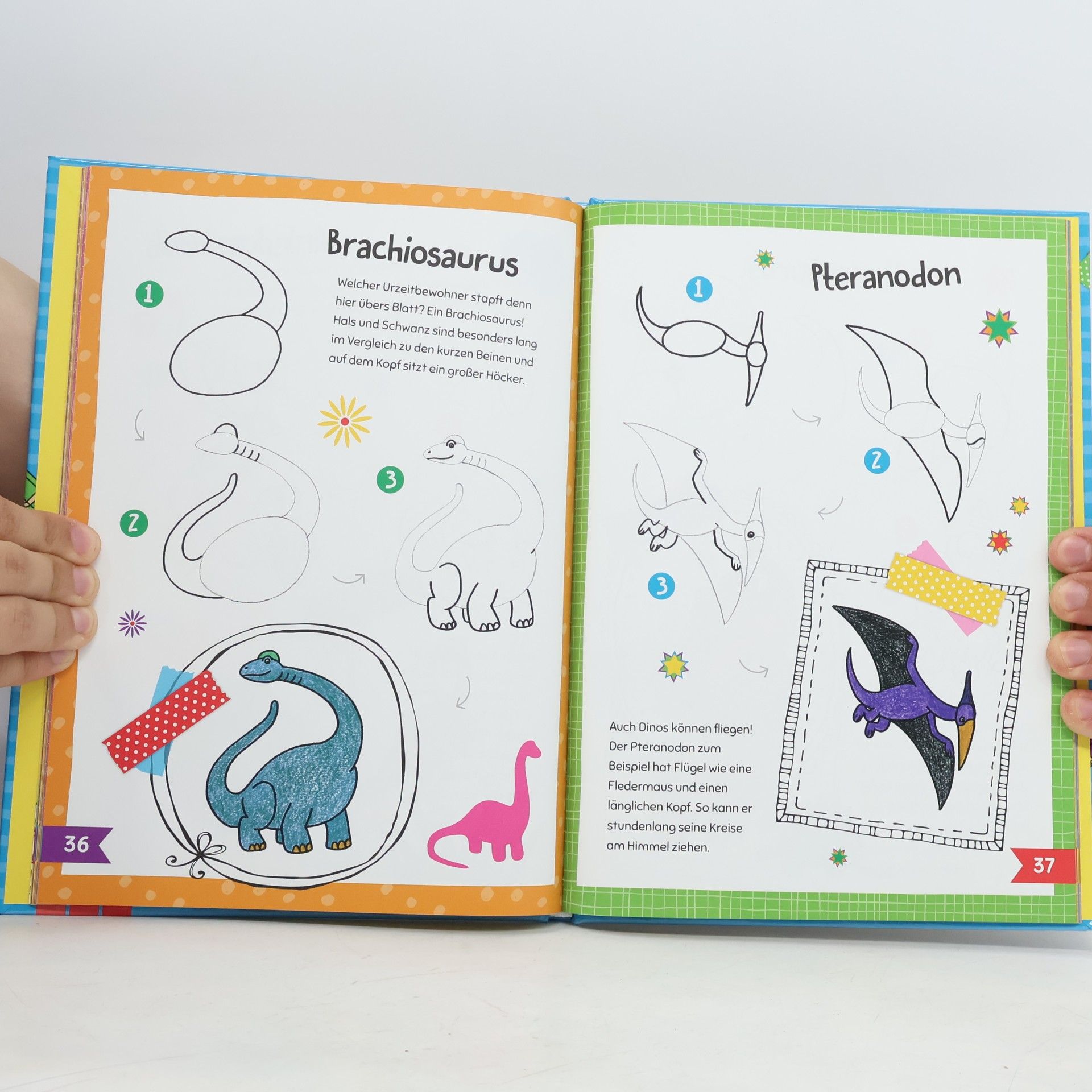Autores varios Die bunte Zeichenschule für kinder