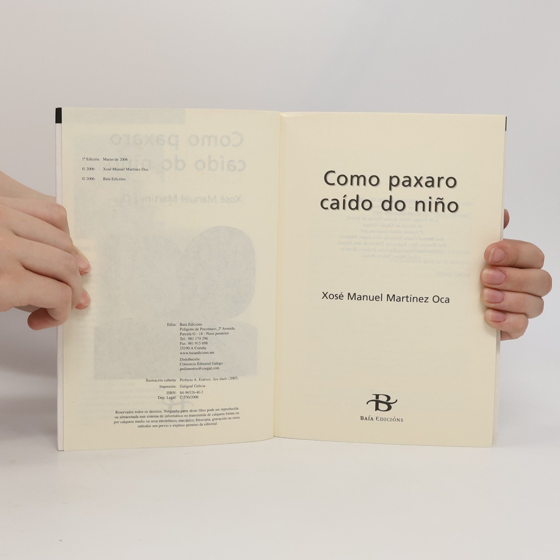 Xosé Manuel Martínez Oca Baía Narrativa - 19: Como paxaro caído no niño