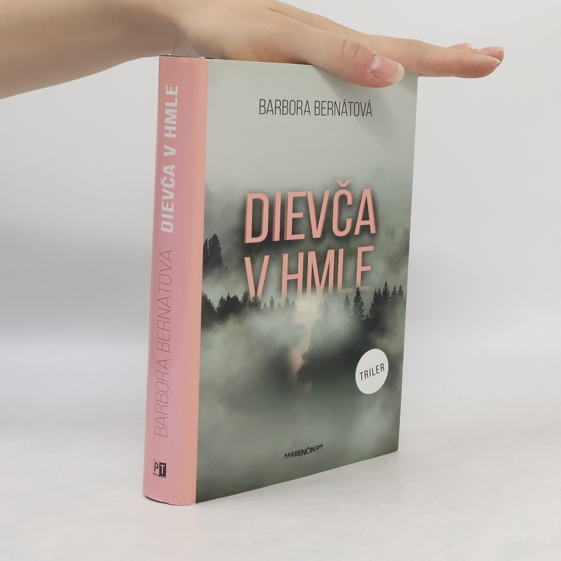 Barbora Bernátová Dievča v hmle